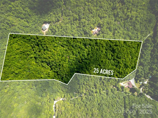 4277 Pickens Highway, Rosman, NC, 28772