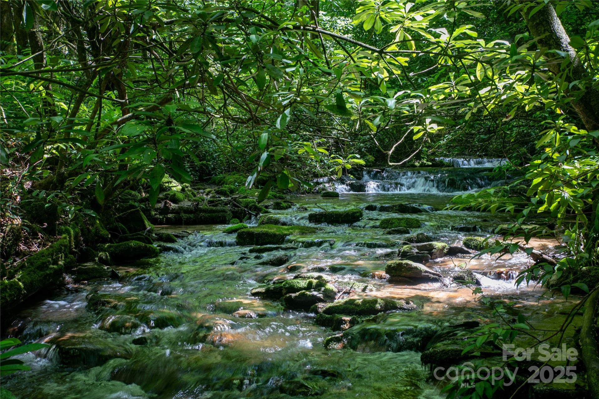 4277 Pickens Highway - Photo 2