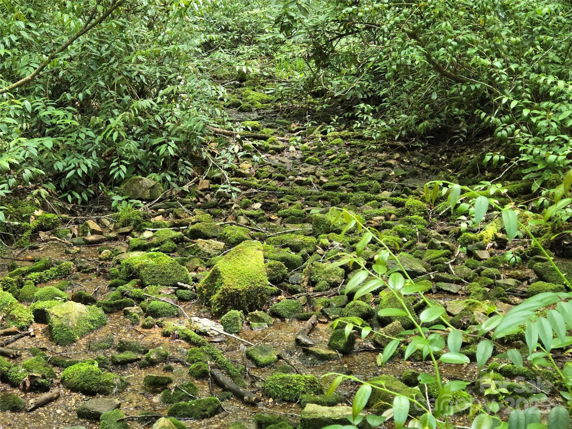 4277 Pickens Highway - Photo 11