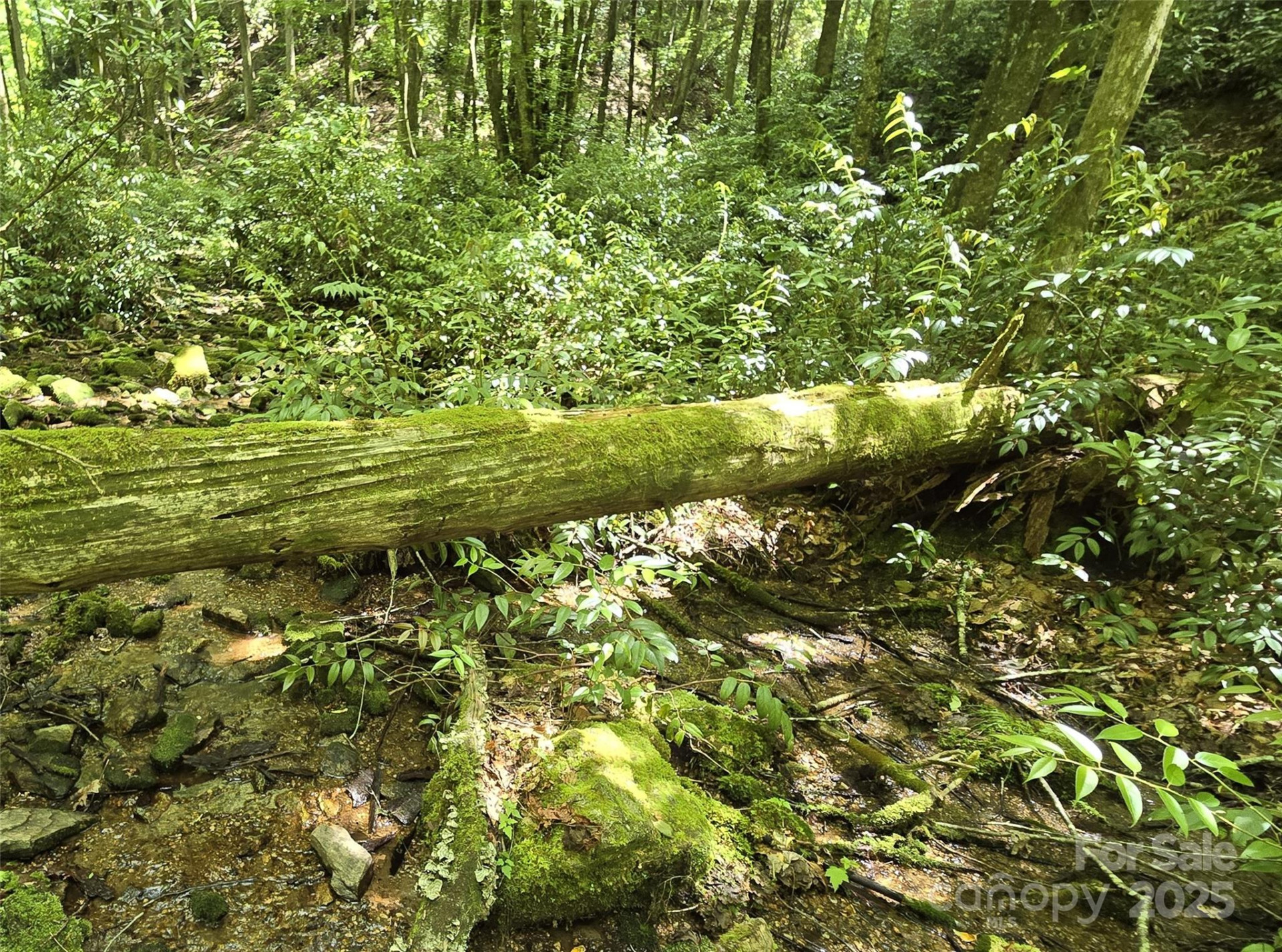 4277 Pickens Highway - Photo 12