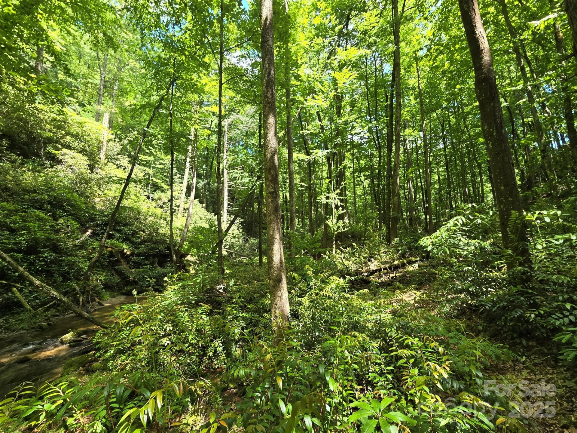 4277 Pickens Highway - Photo 13