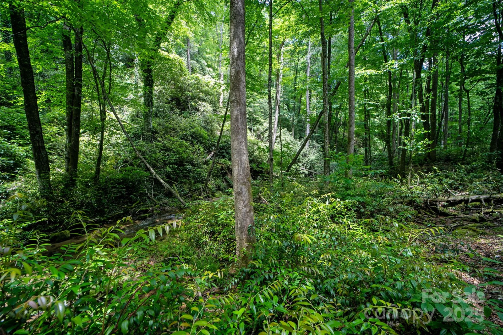 4277 Pickens Highway - Photo 14