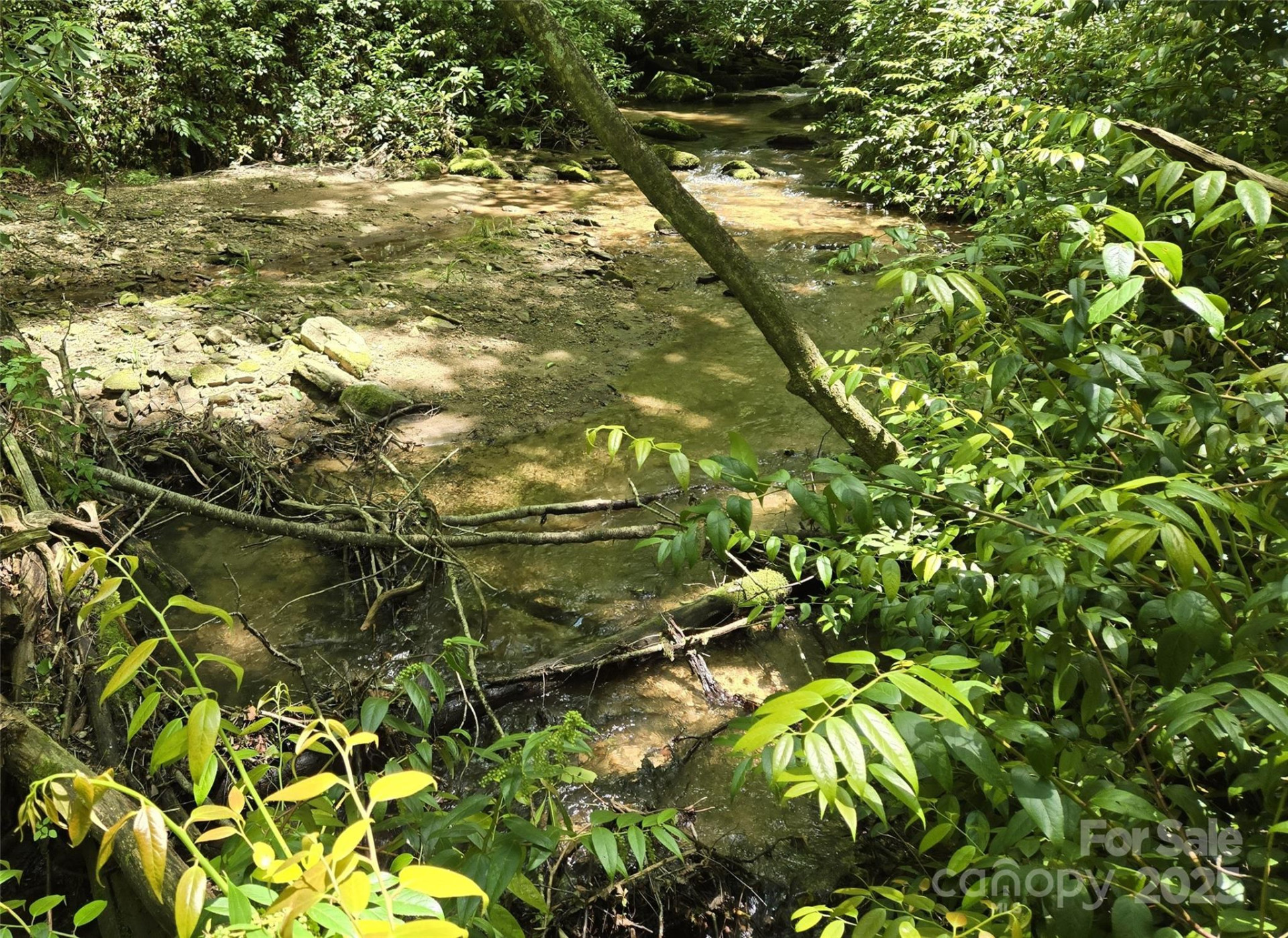 4277 Pickens Highway - Photo 15