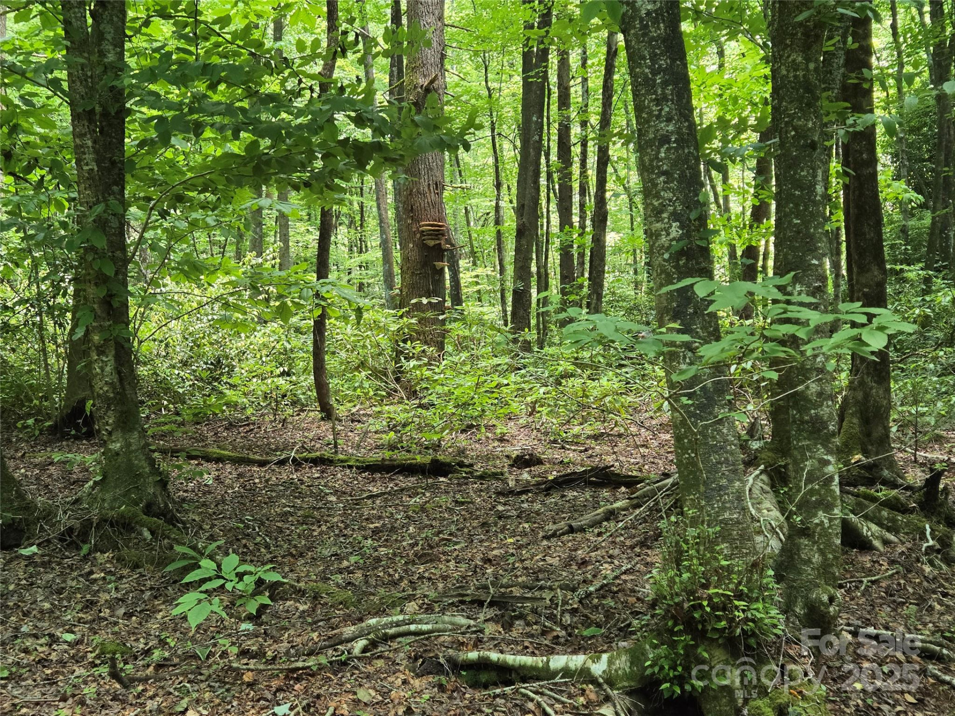 4277 Pickens Highway - Photo 16