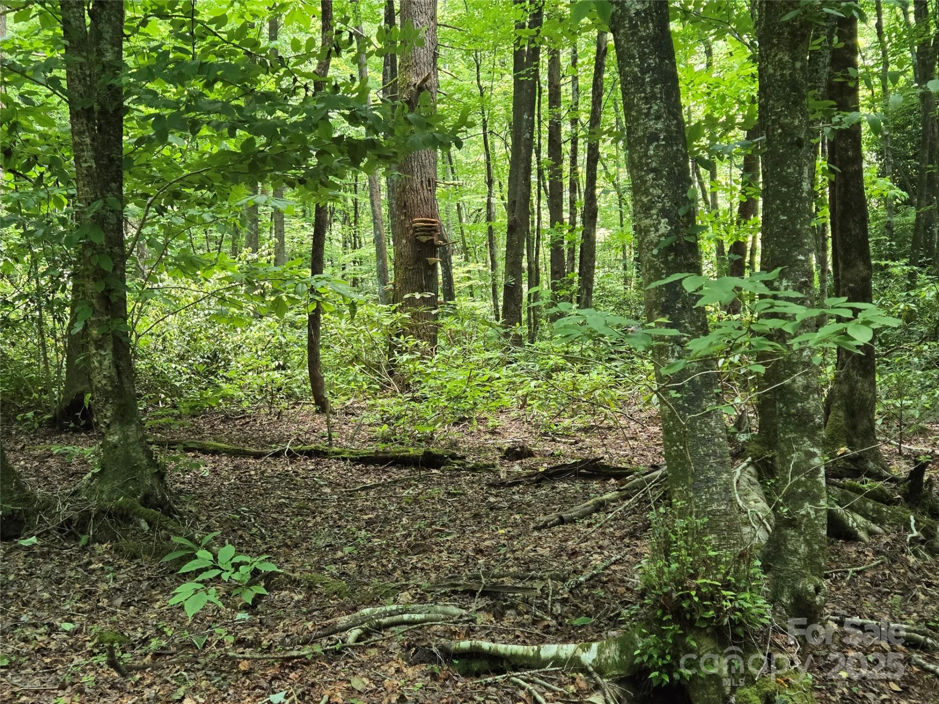 4277 Pickens Highway - Photo 16