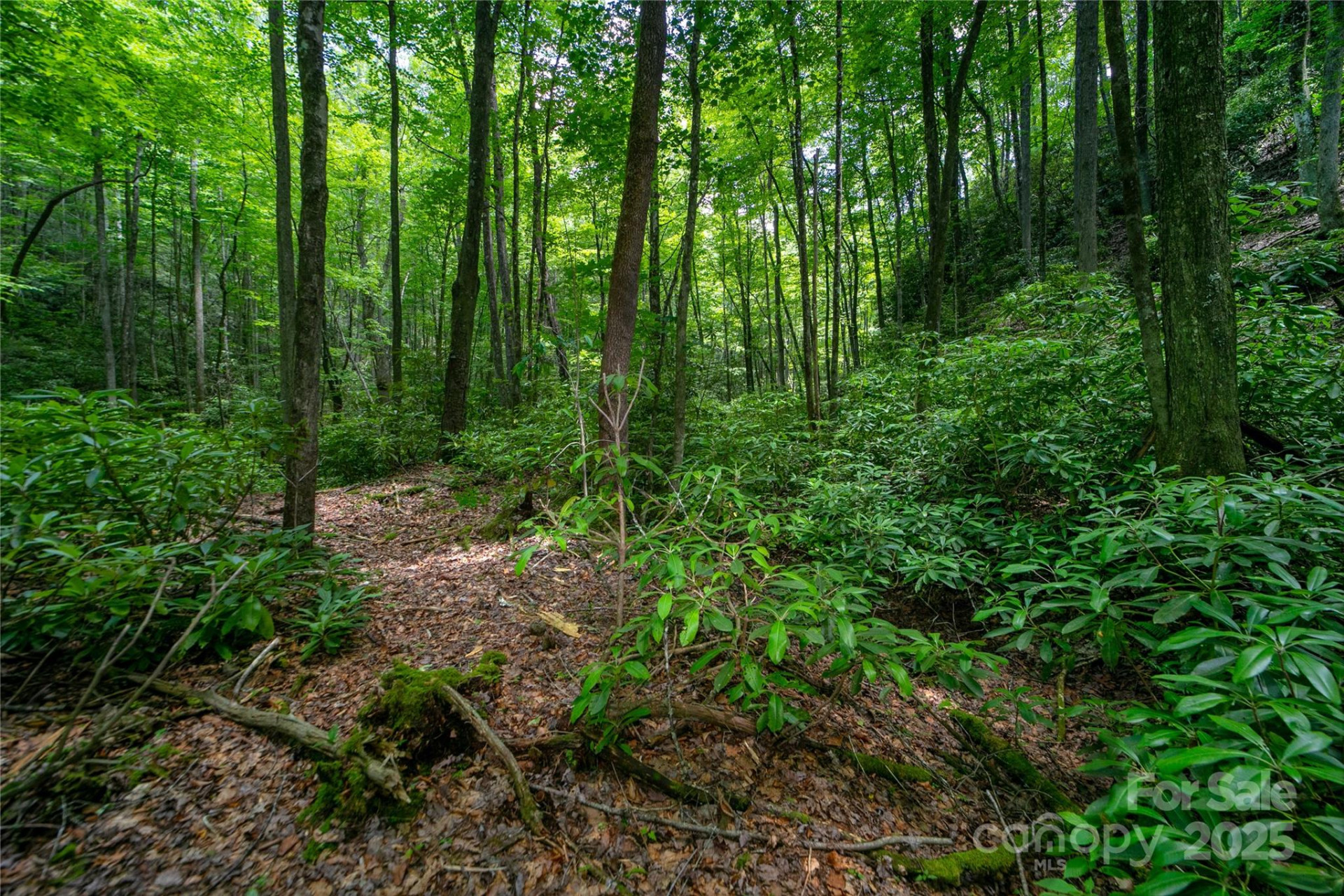 4277 Pickens Highway - Photo 17