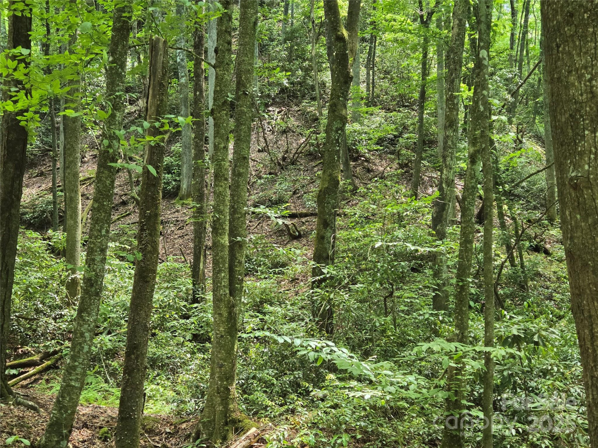 4277 Pickens Highway - Photo 20