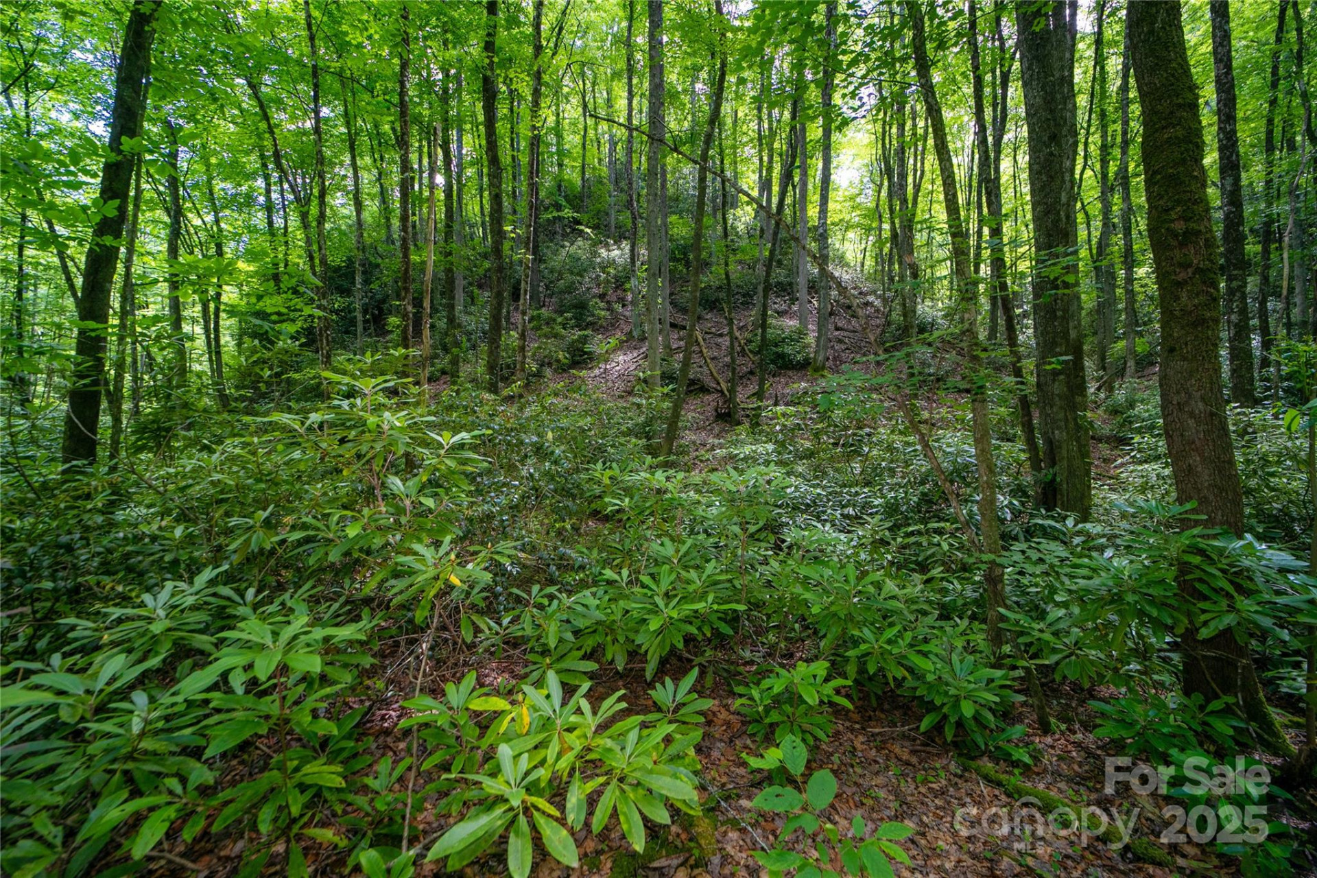 4277 Pickens Highway - Photo 21