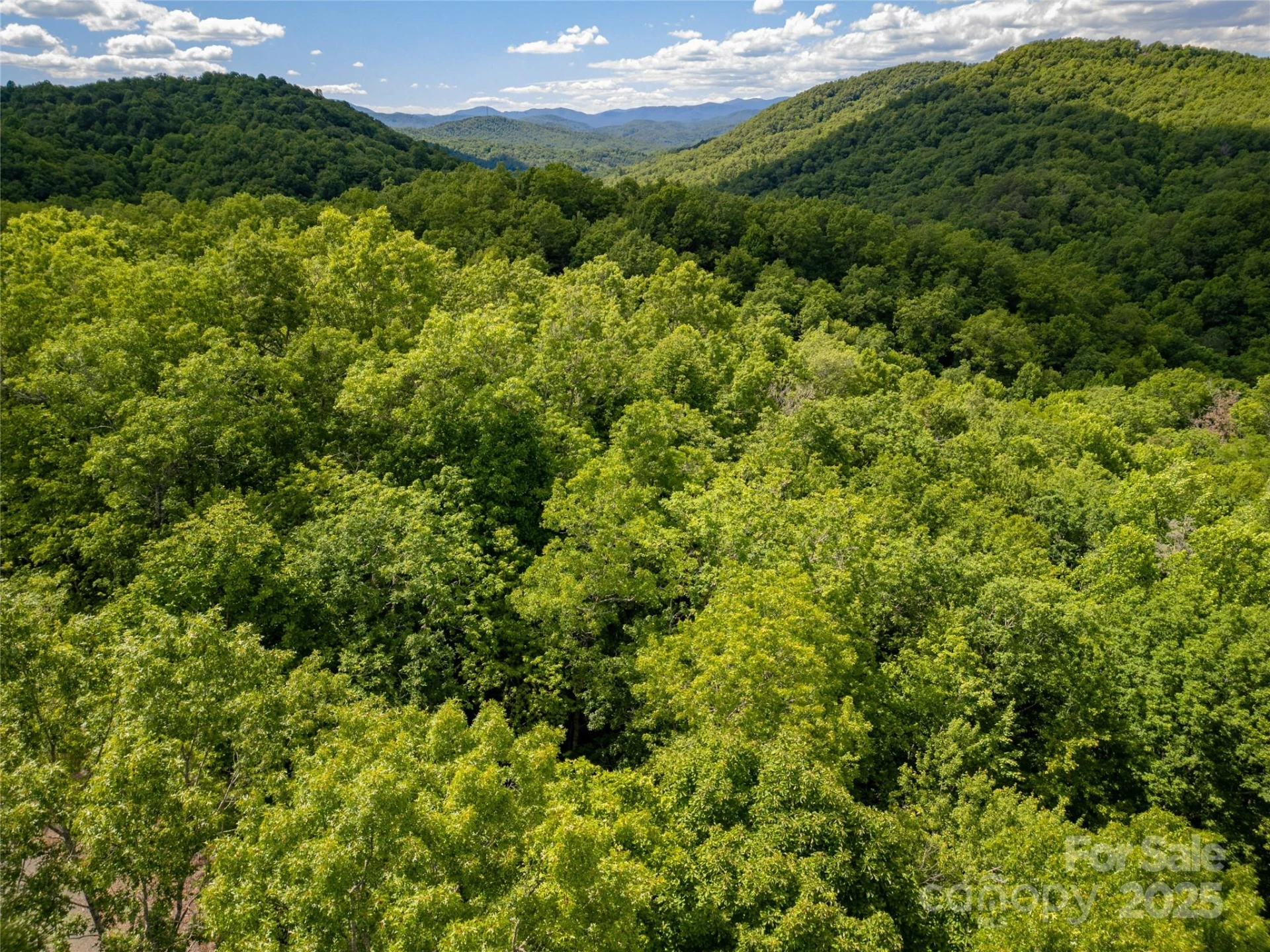 4277 Pickens Highway - Photo 22