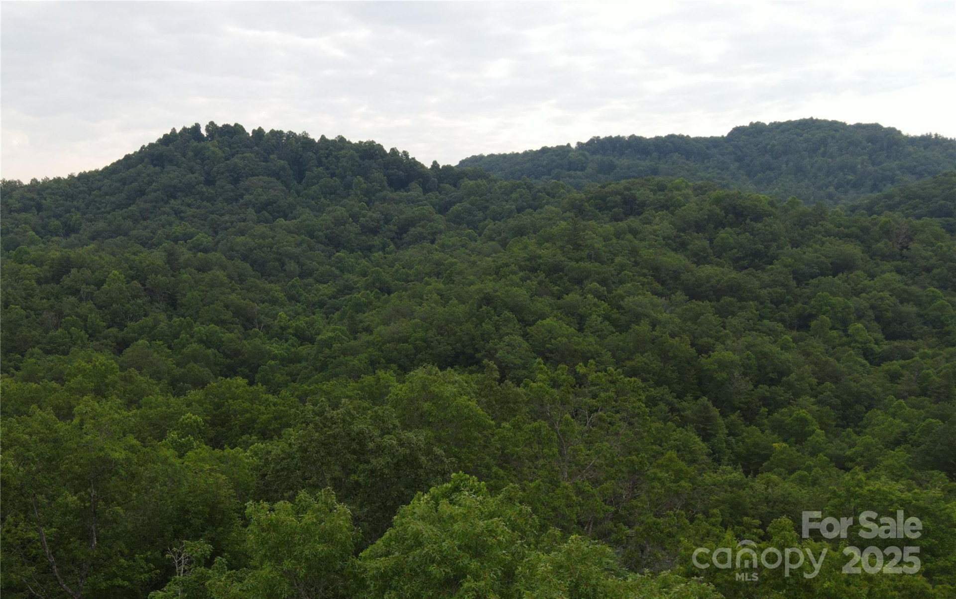 4277 Pickens Highway - Photo 23