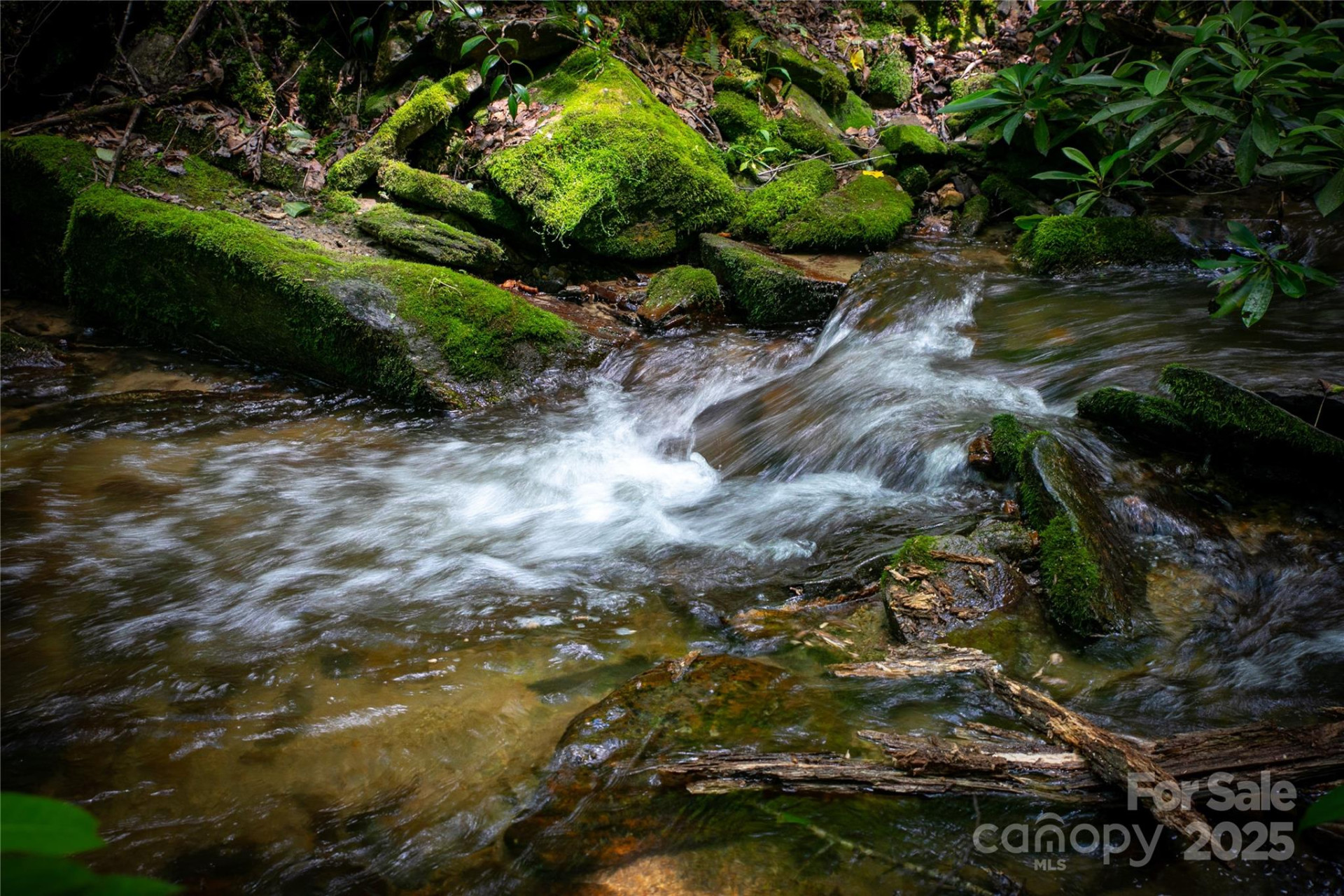 4277 Pickens Highway - Photo 5