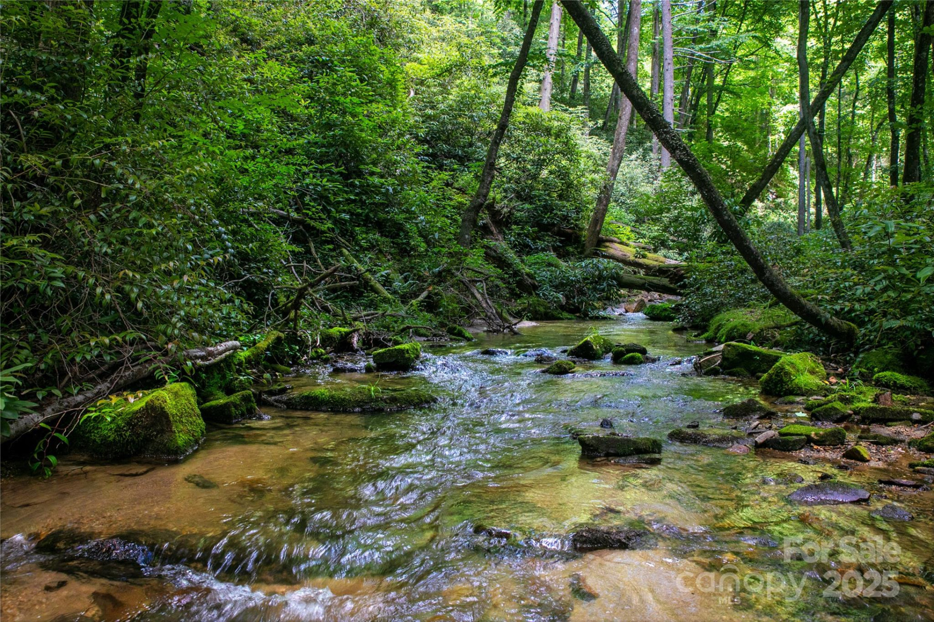 4277 Pickens Highway - Photo 6