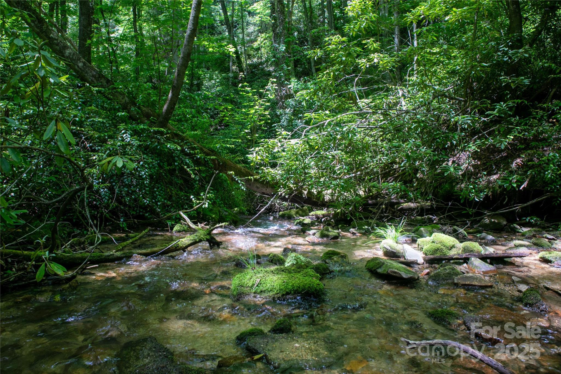 4277 Pickens Highway - Photo 7