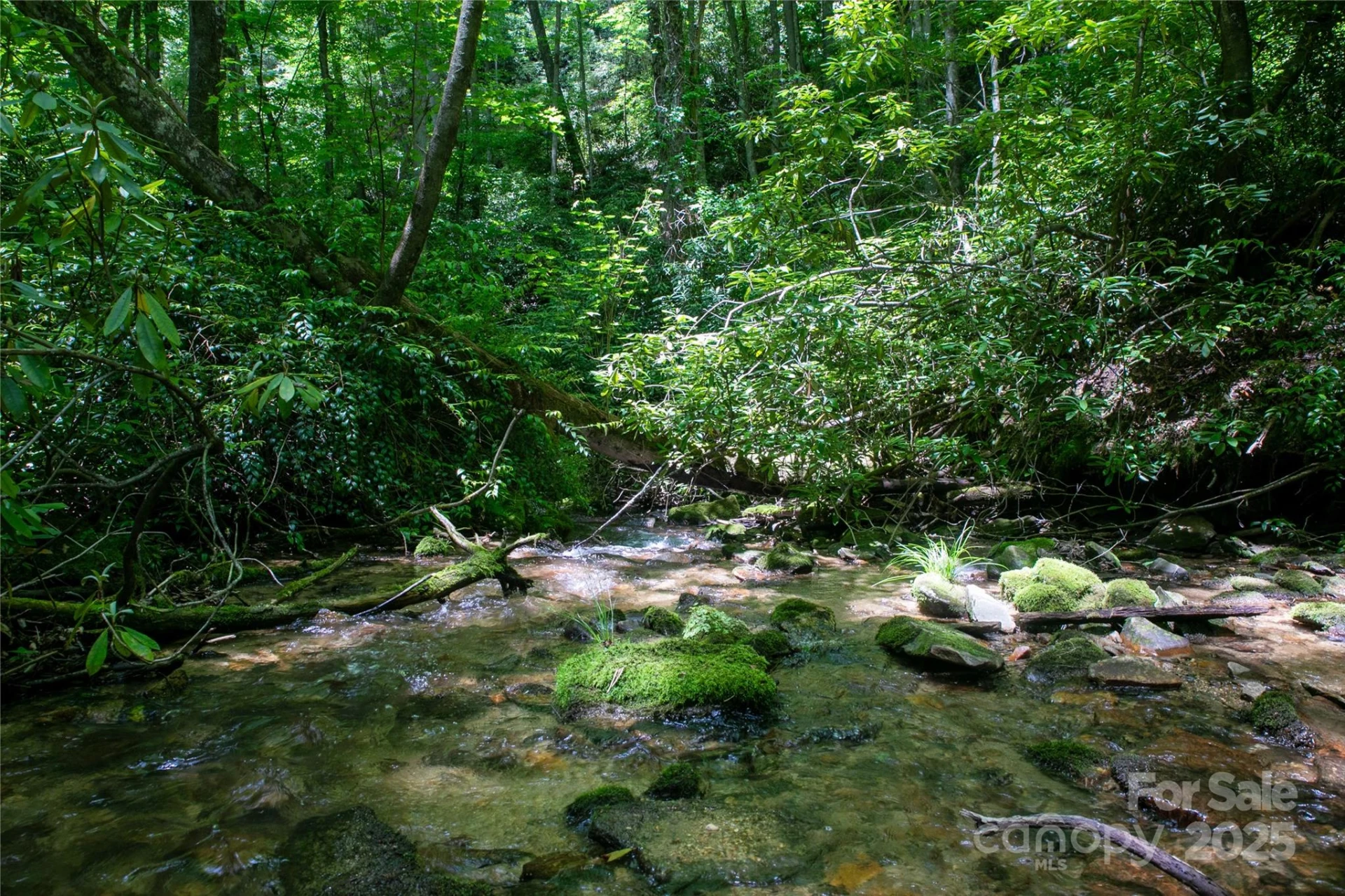 4277 Pickens Highway - Photo 7