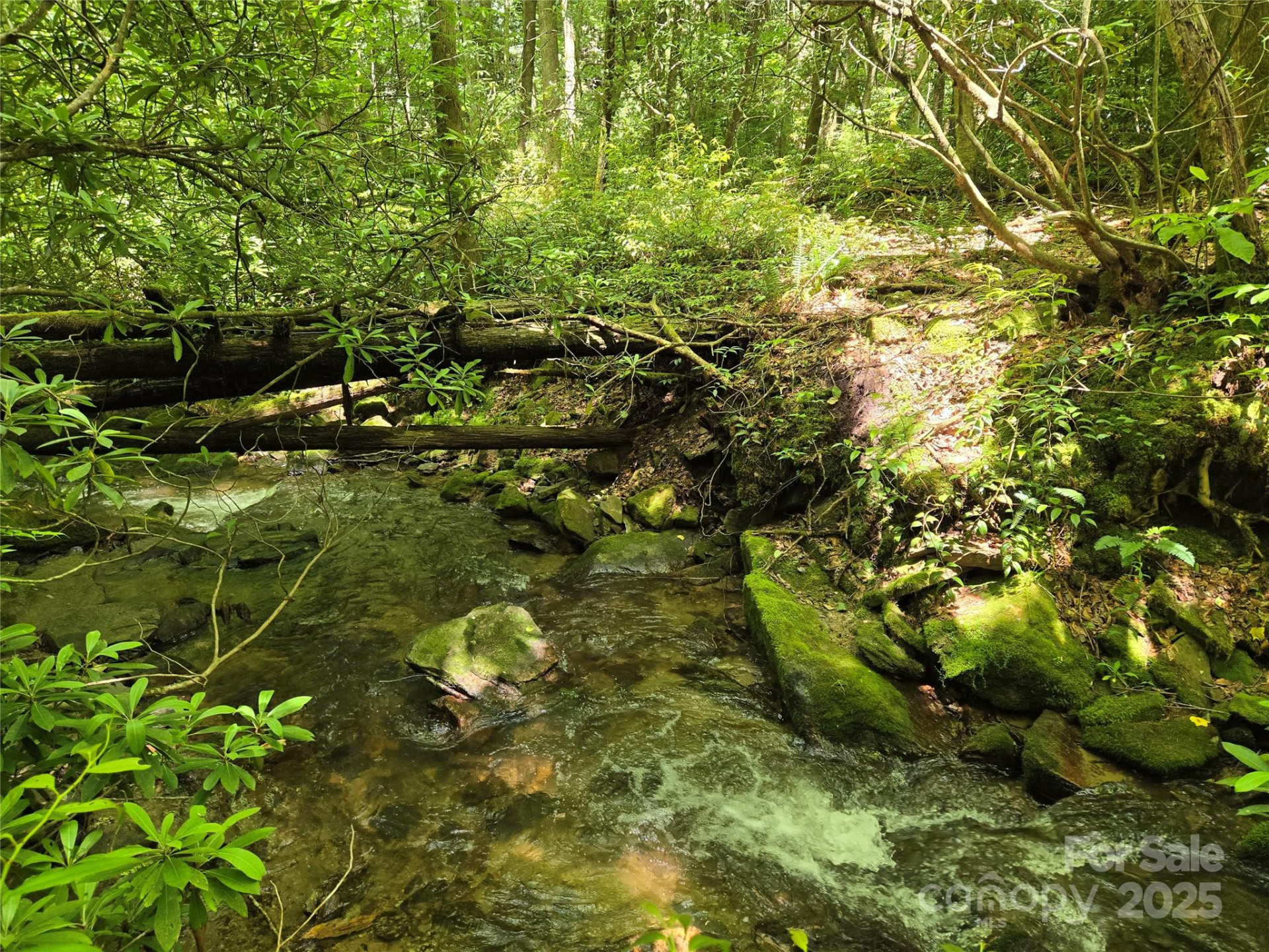 4277 Pickens Highway - Photo 8