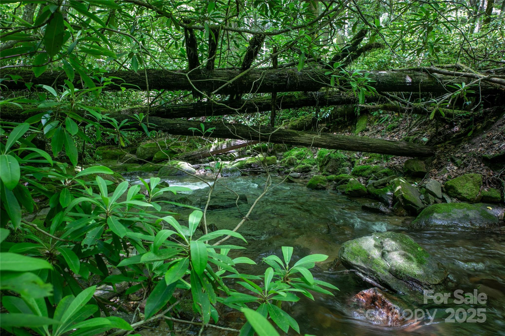 4277 Pickens Highway - Photo 9