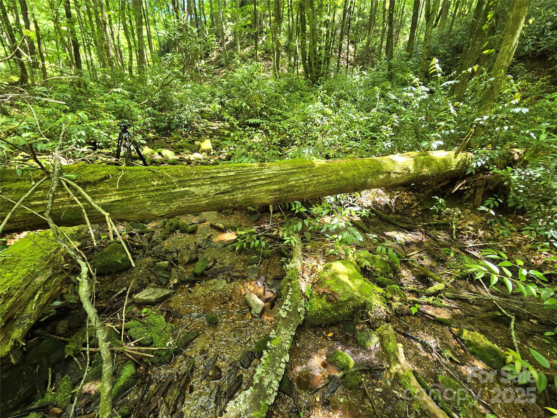 4277 Pickens Highway - Photo 10