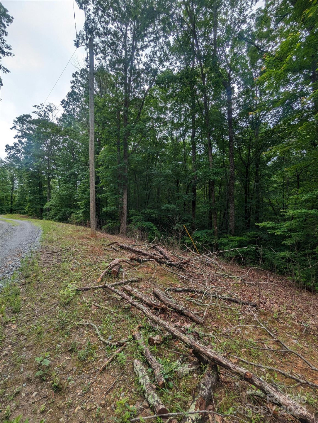 00 Jones Court #LOT 552 - Photo 12