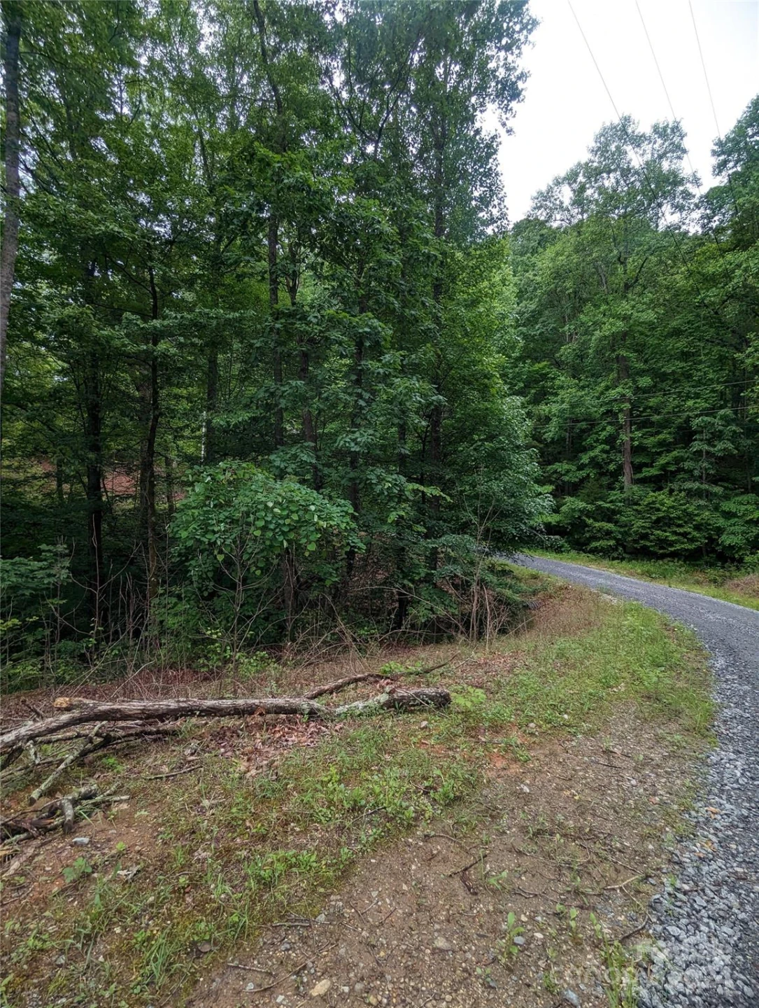 00 Jones Court #LOT 552 - Photo 13
