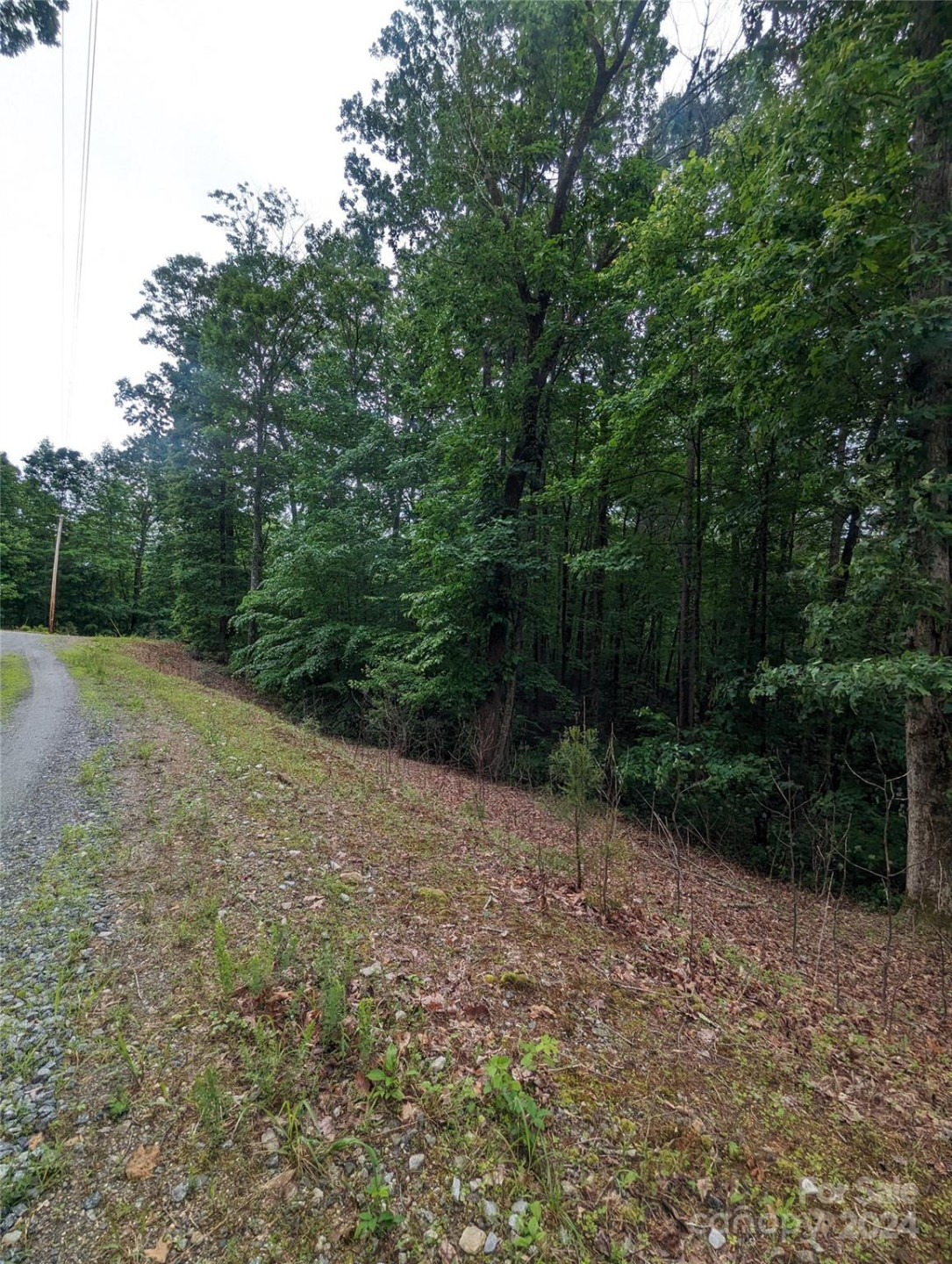 00 Jones Court #LOT 552 - Photo 14