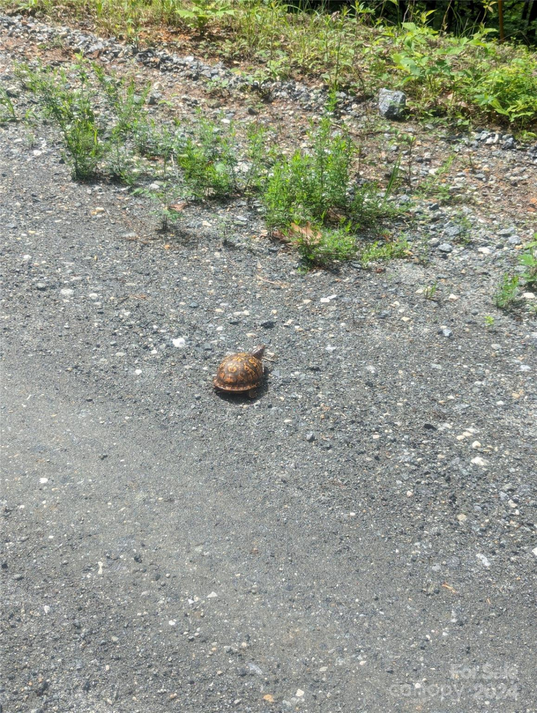 00 Jones Court #LOT 552 - Photo 17