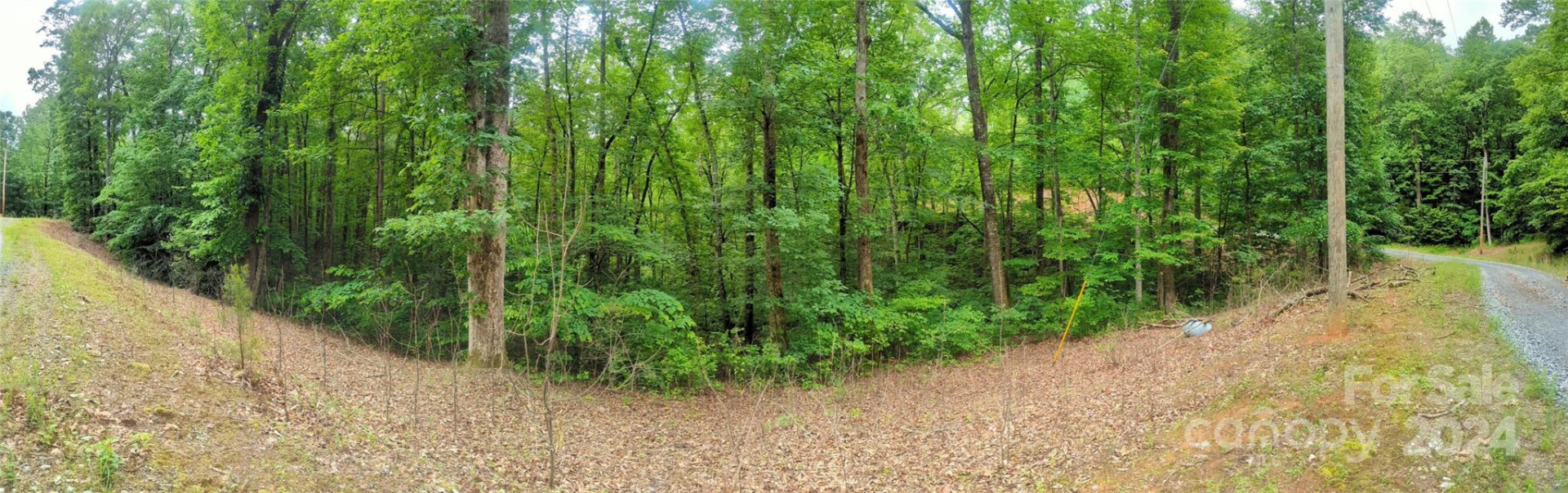 00 Jones Court #LOT 552 - Photo 4