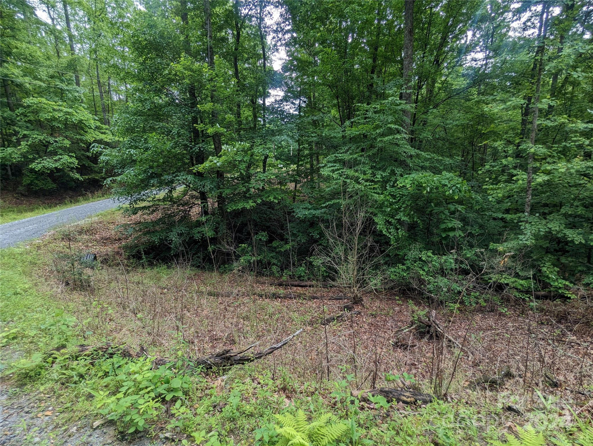 00 Jones Court #LOT 552 - Photo 6