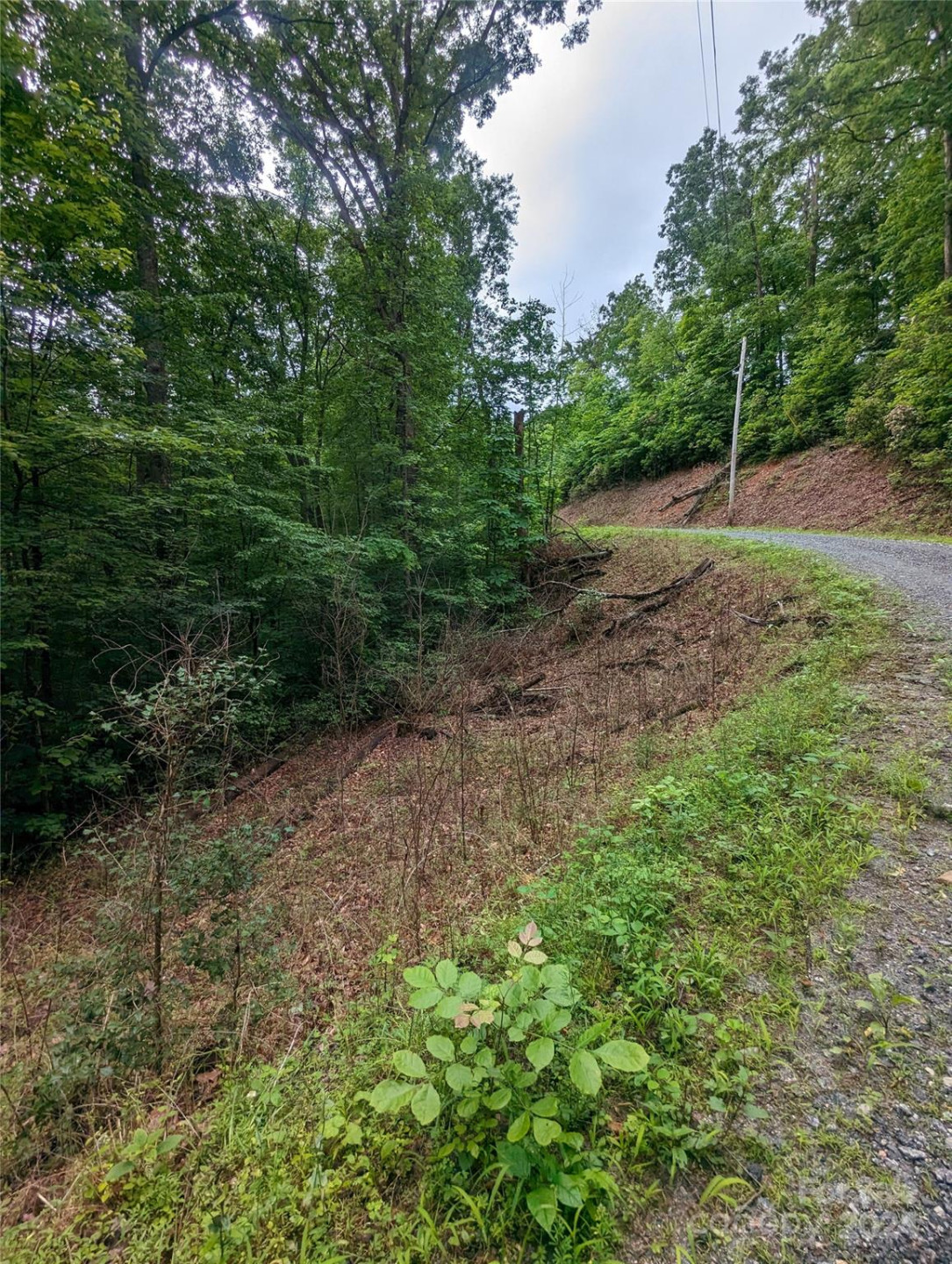 00 Jones Court #LOT 552 - Photo 8