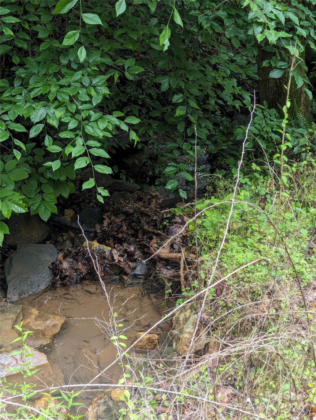 00 Jones Court #LOT 552 - Photo 9