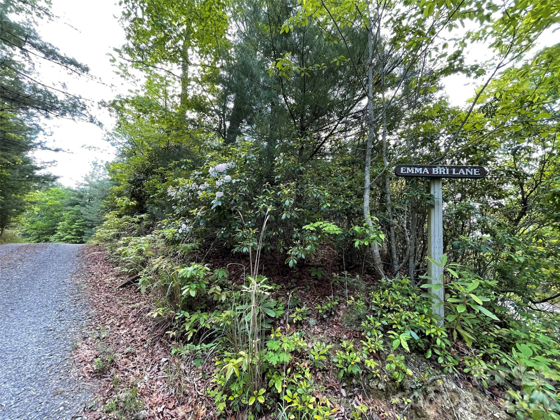 72 Emma Bri Lane - Photo 11