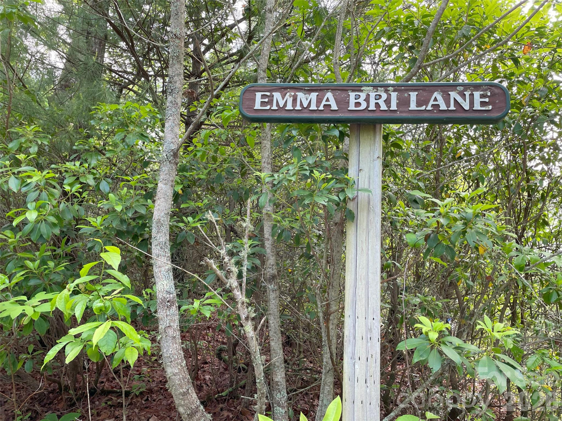 72 Emma Bri Lane - Photo 12