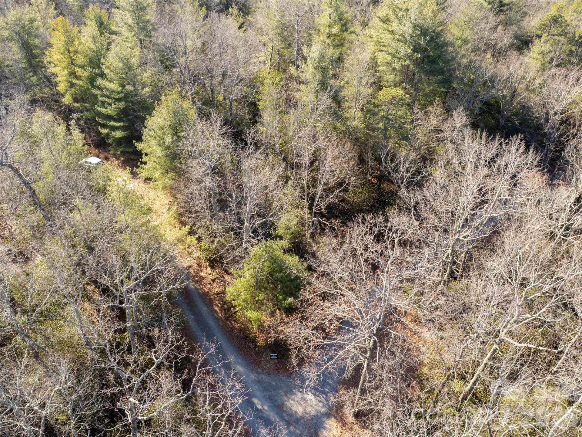 72 Emma Bri Lane - Photo 3