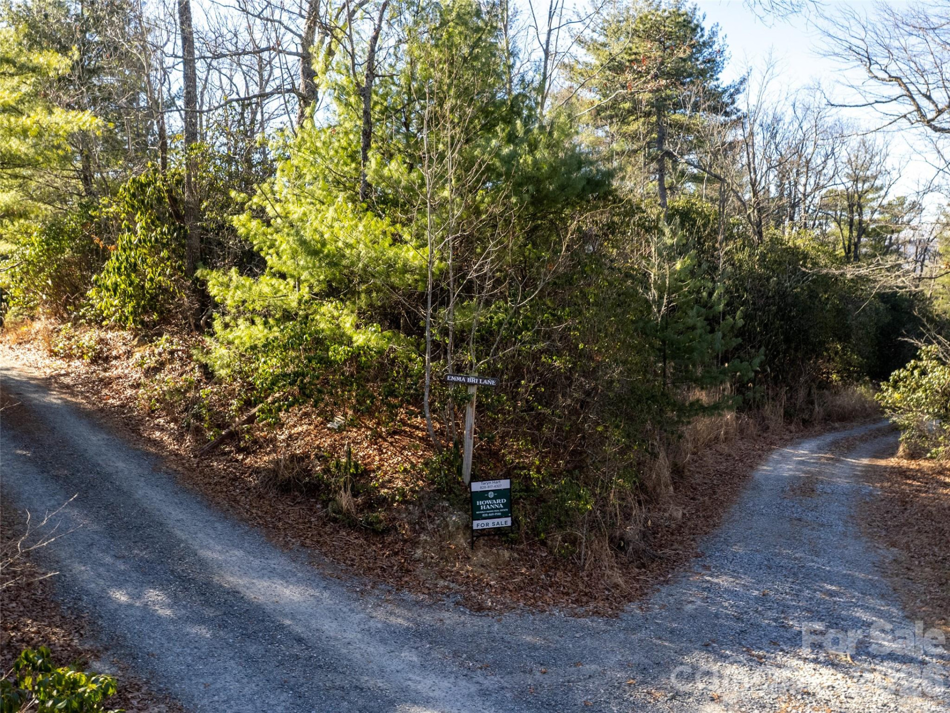 72 Emma Bri Lane - Photo 4