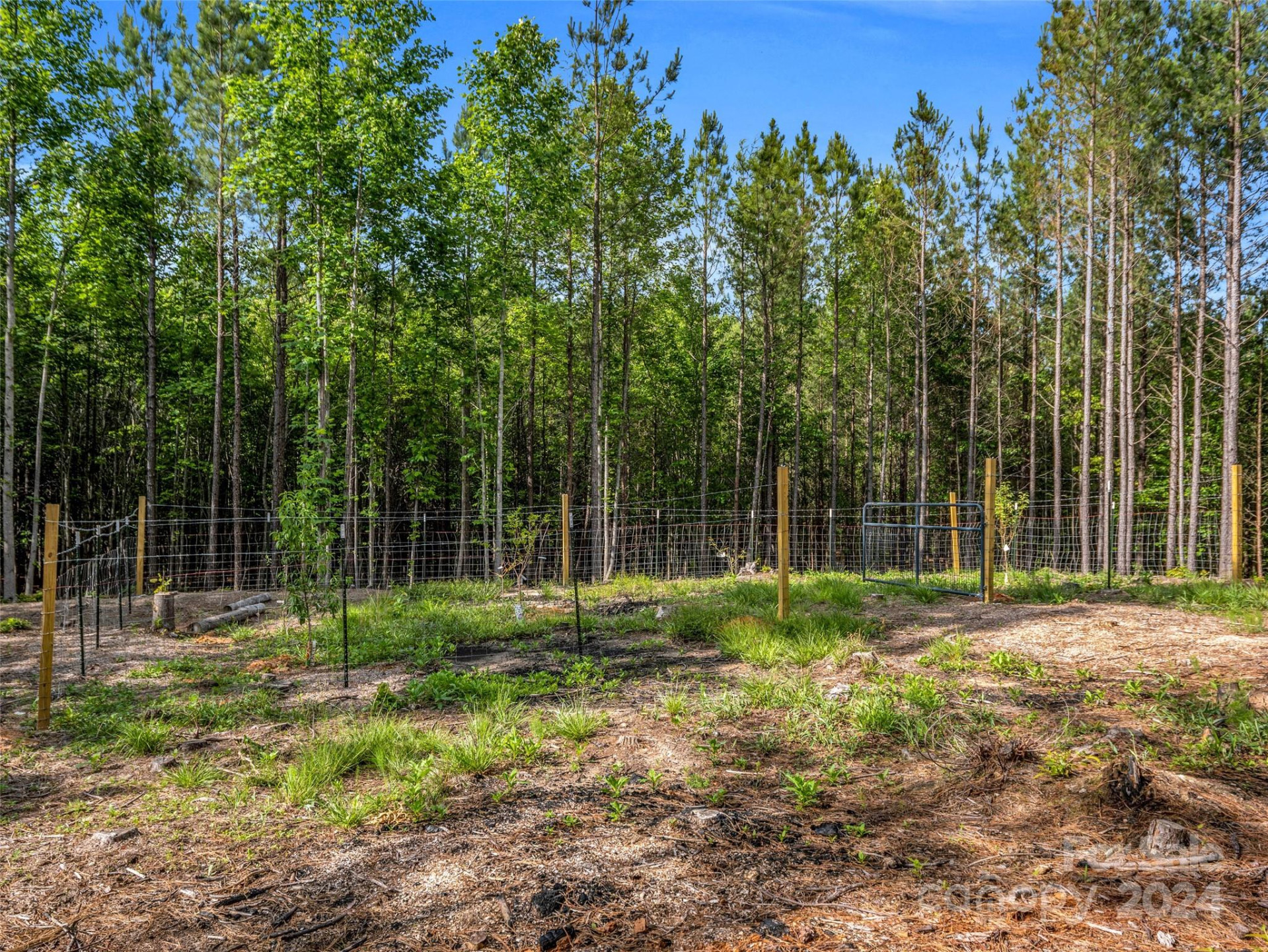 10305 Green River Cove Road - Photo 36