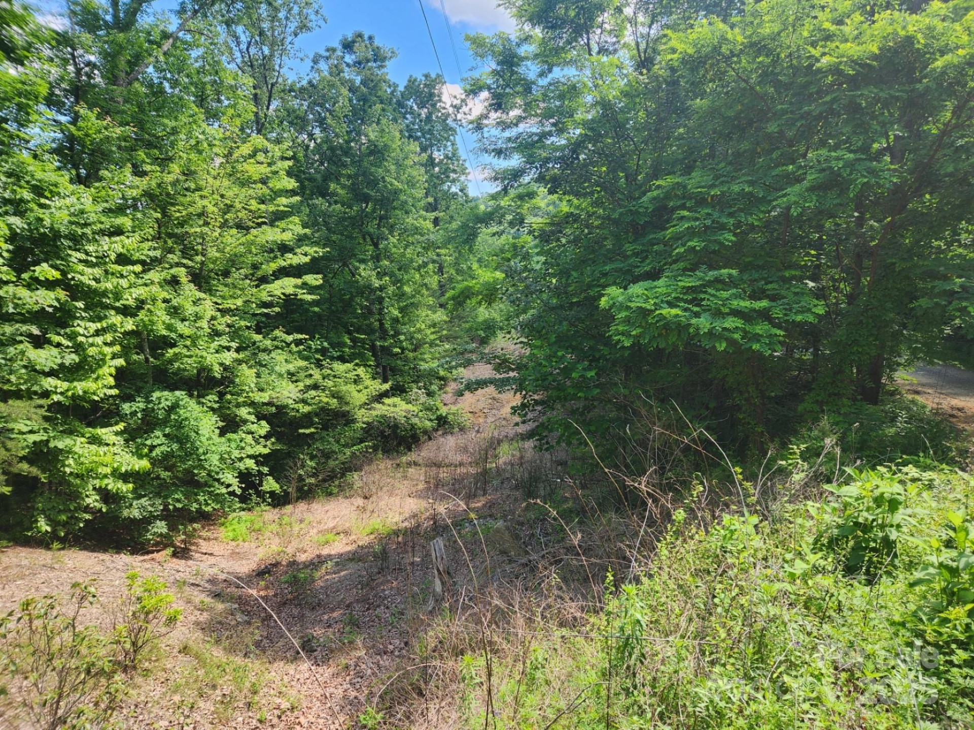 00 Hickory Nut Lane #390 - Photo 2