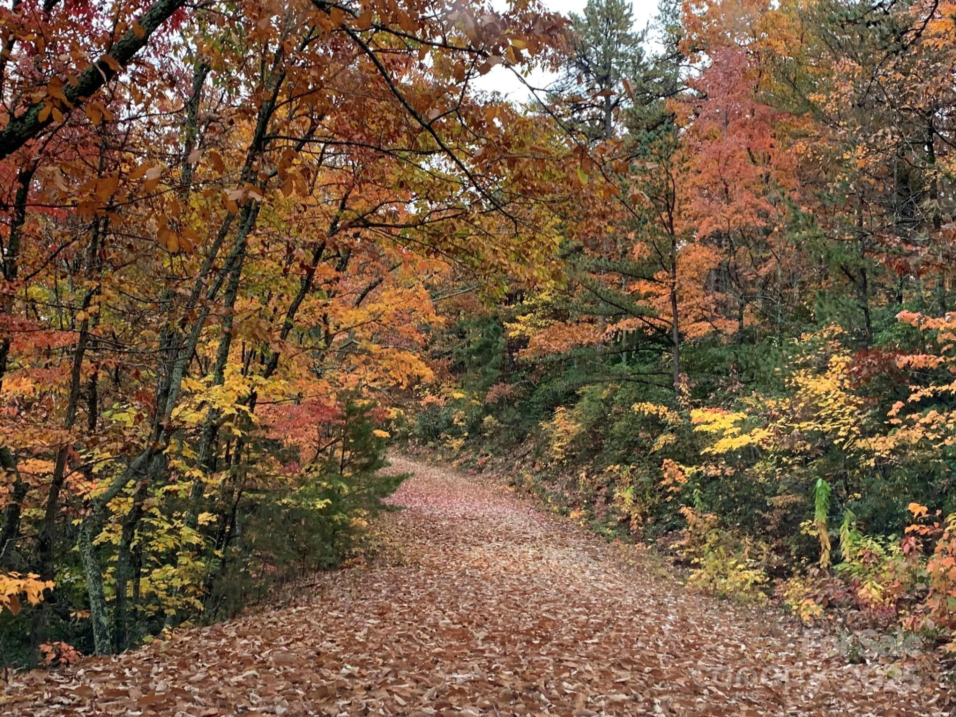 00 Hickory Nut Lane #390 - Photo 11
