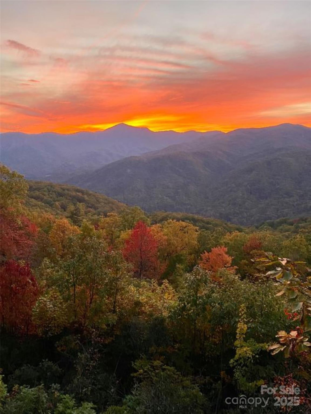 00 Hickory Nut Lane #390 - Photo 13