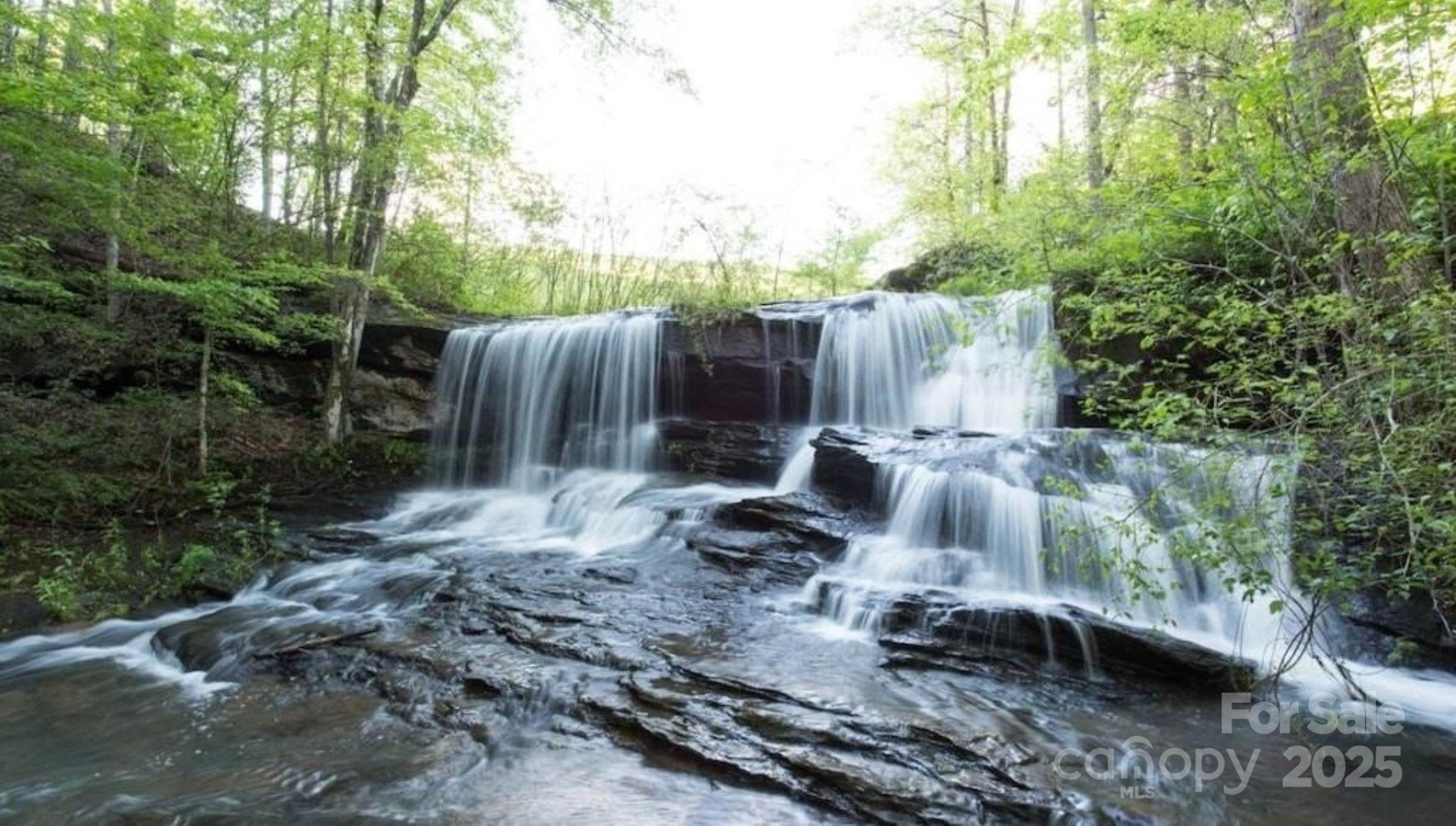 00 Hickory Nut Lane #390 - Photo 15