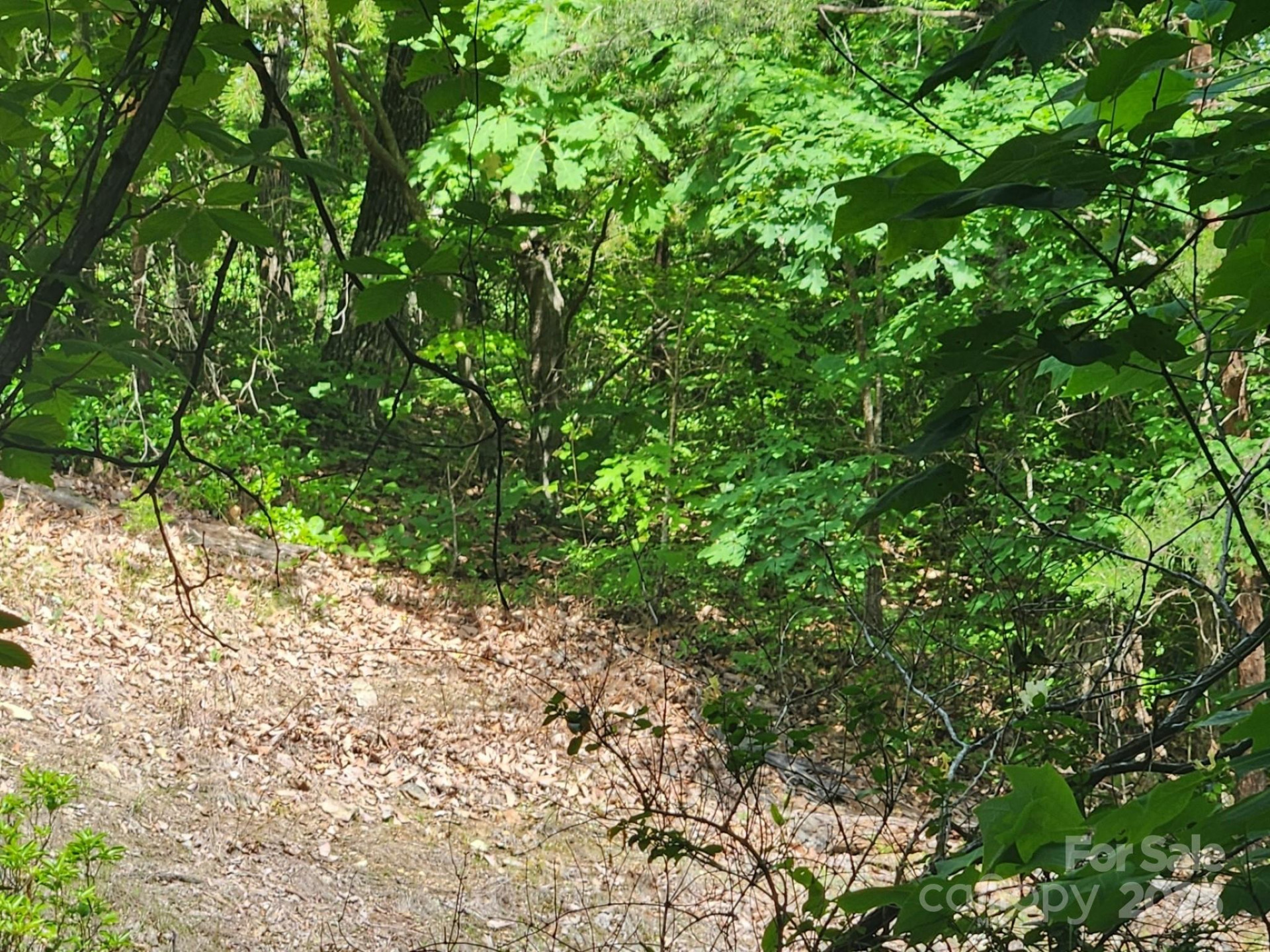 00 Hickory Nut Lane #390 - Photo 17