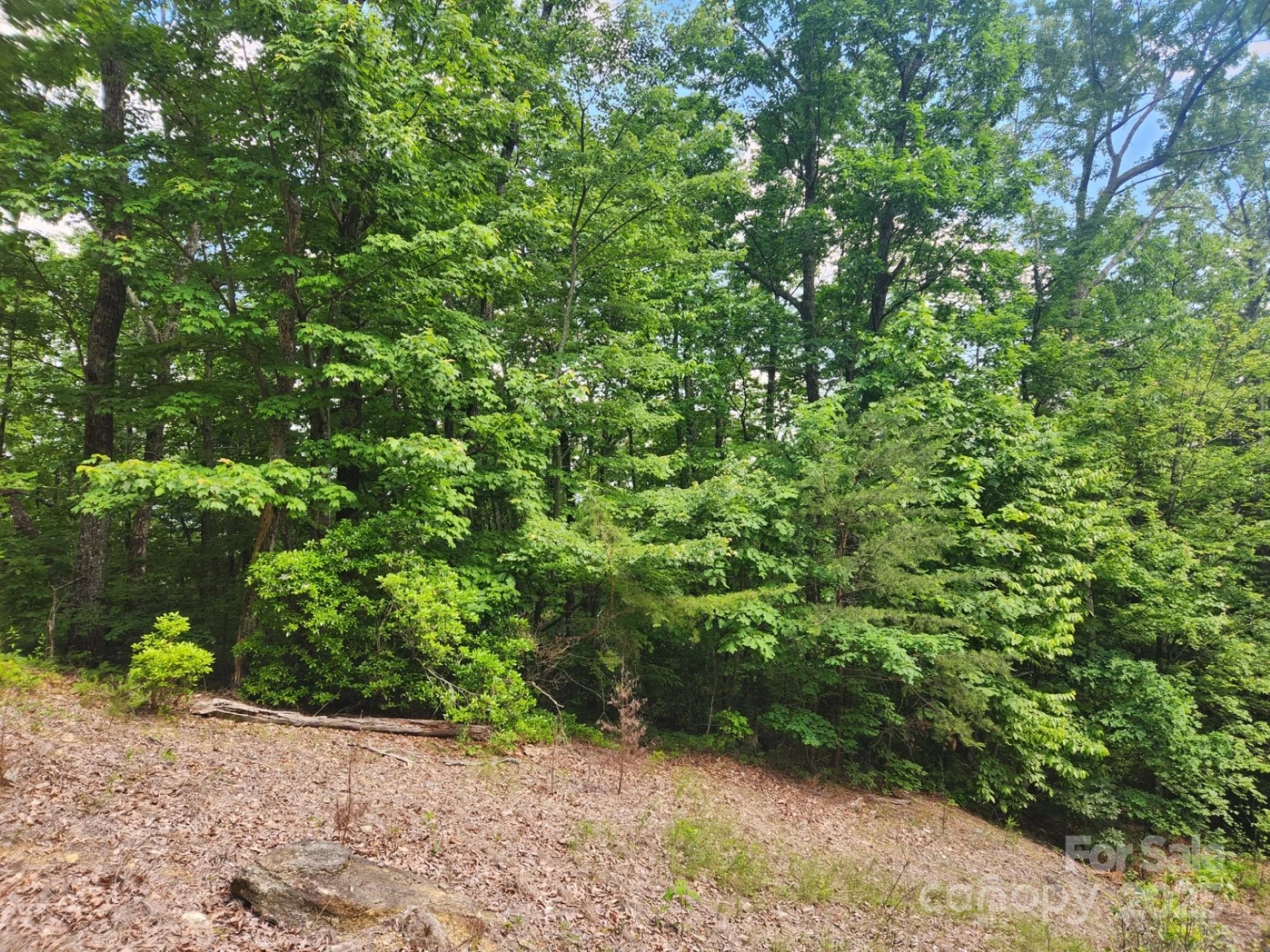 00 Hickory Nut Lane #390 - Photo 18