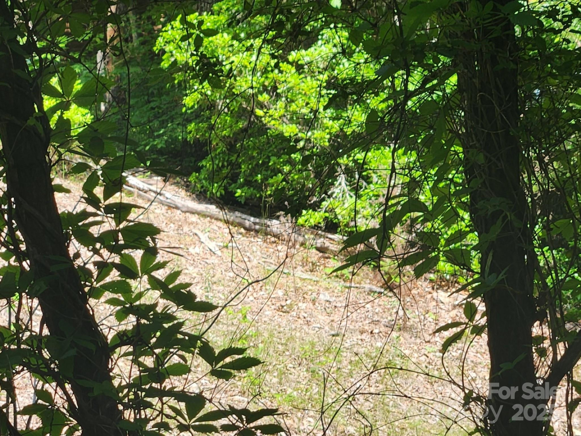 00 Hickory Nut Lane #390 - Photo 19