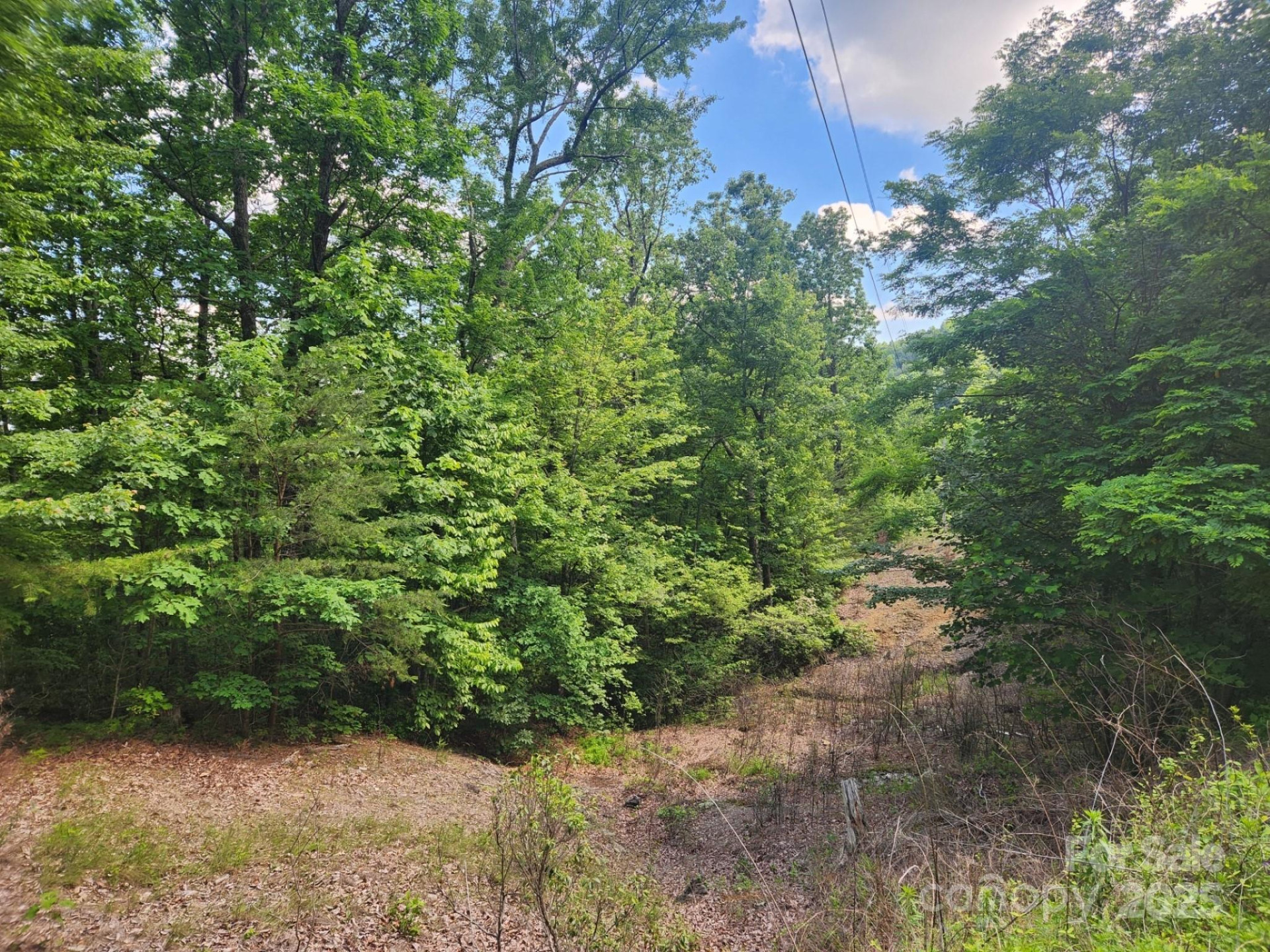 00 Hickory Nut Lane #390 - Photo 3