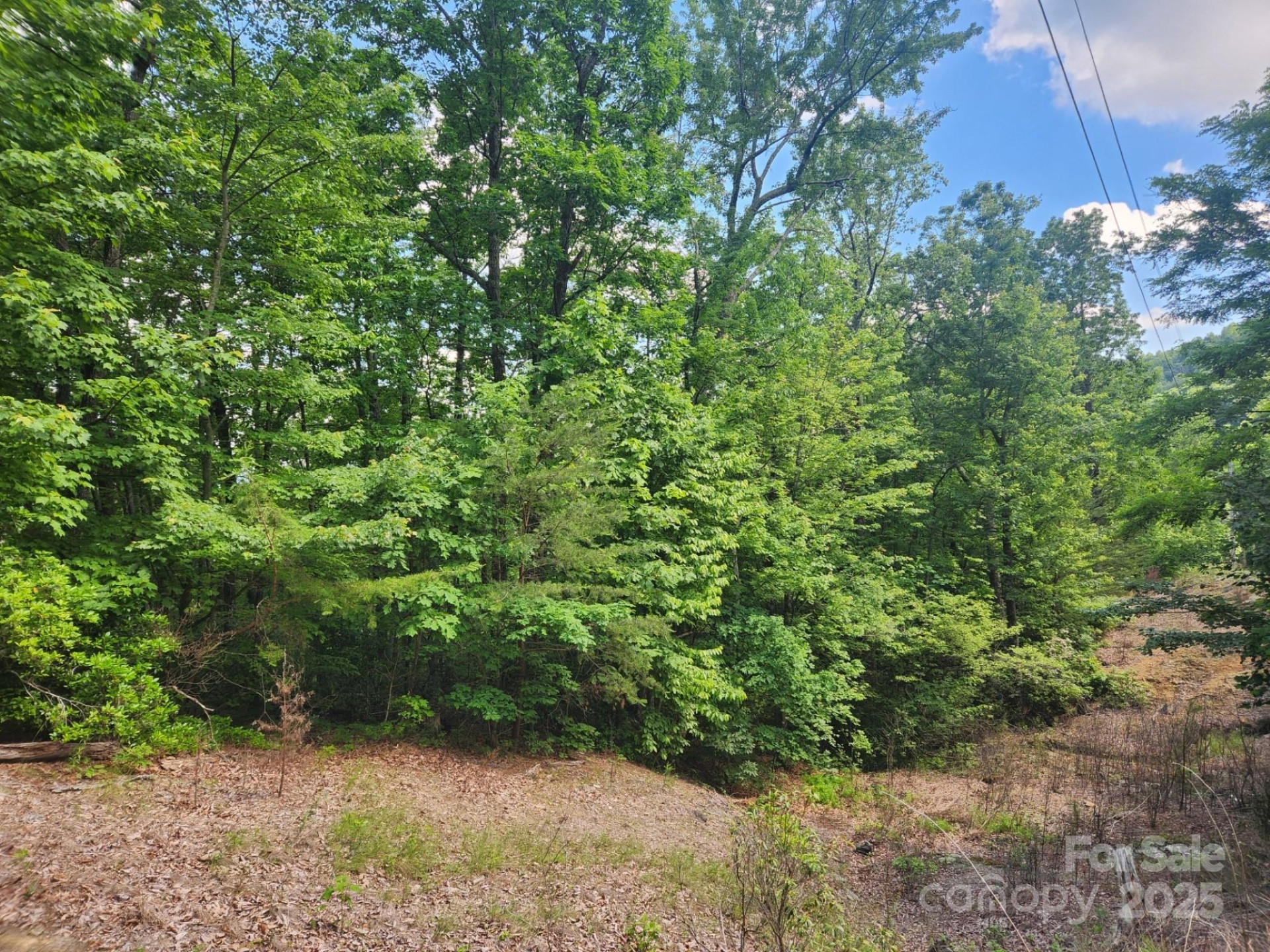 00 Hickory Nut Lane #390 - Photo 4