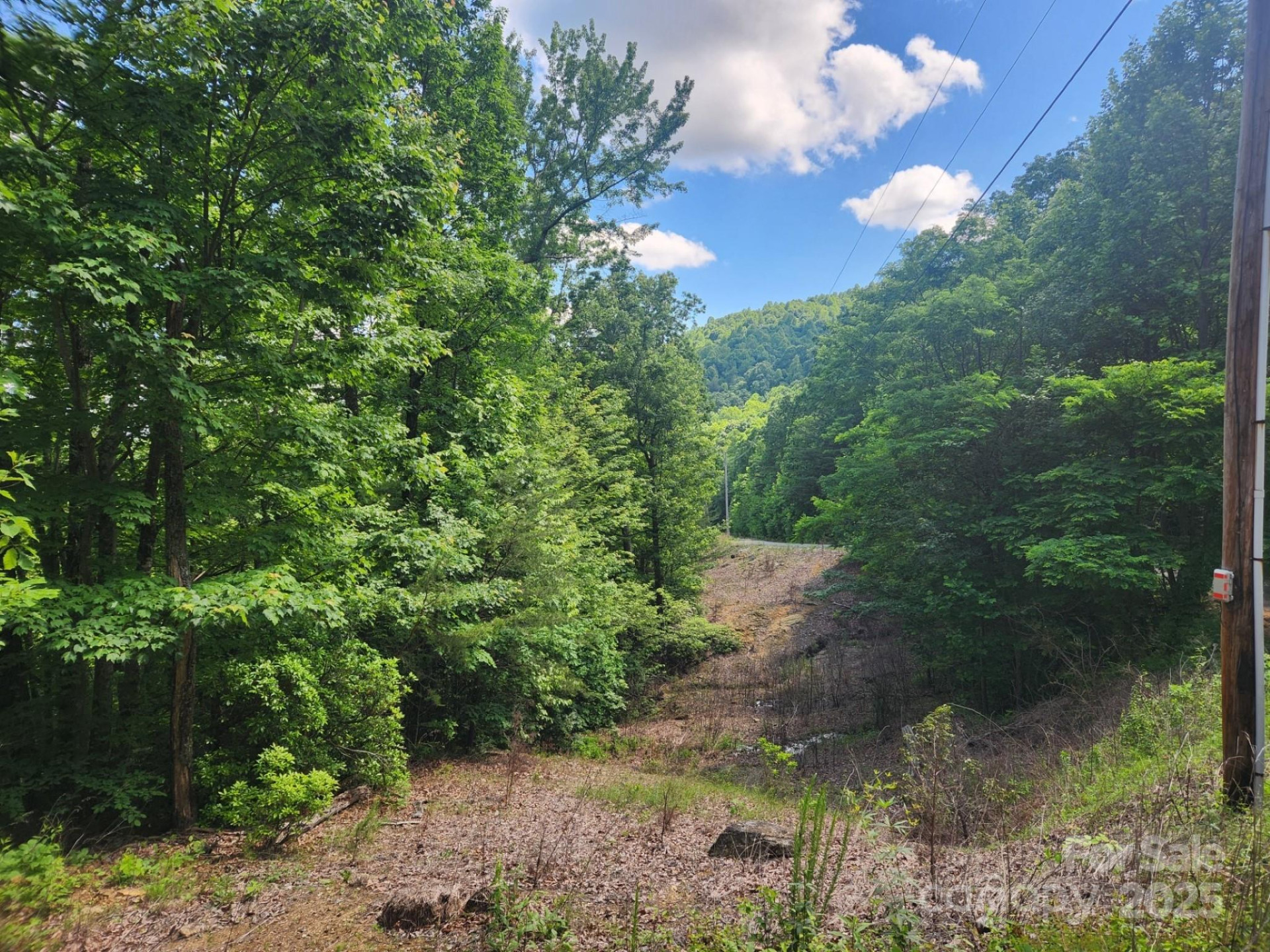 00 Hickory Nut Lane #390 - Photo 5