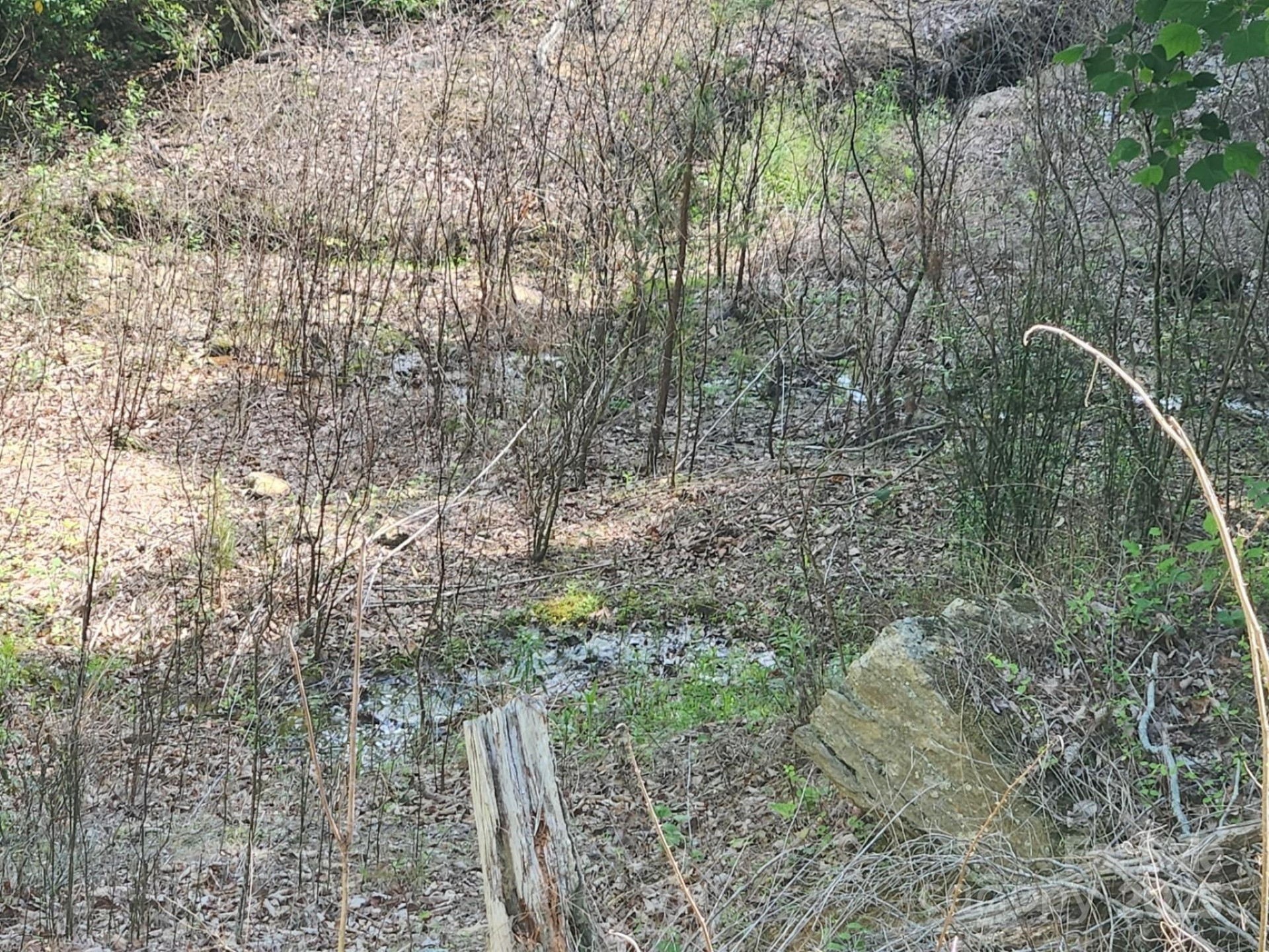 00 Hickory Nut Lane #390 - Photo 7