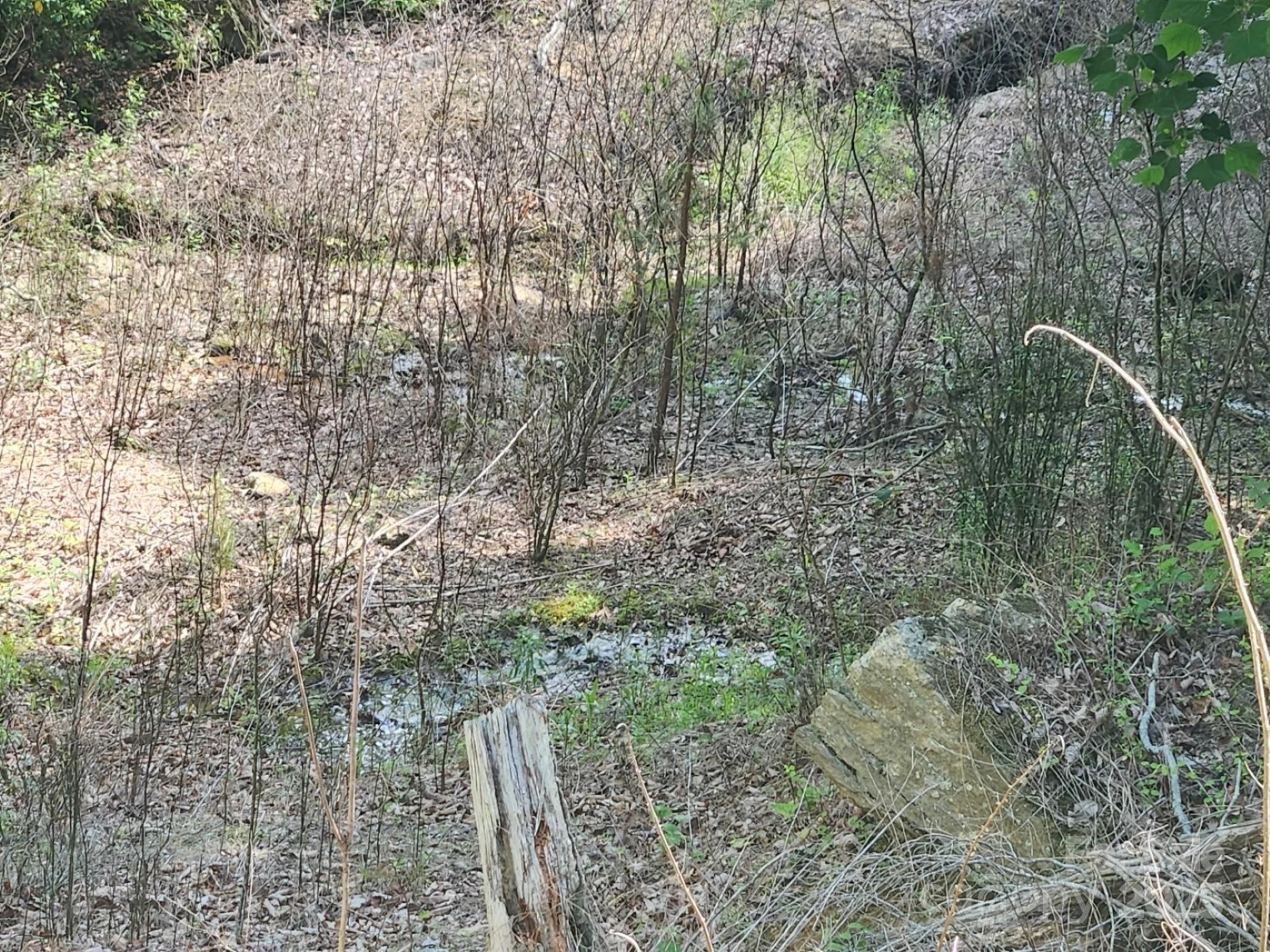 00 Hickory Nut Lane #390 - Photo 7