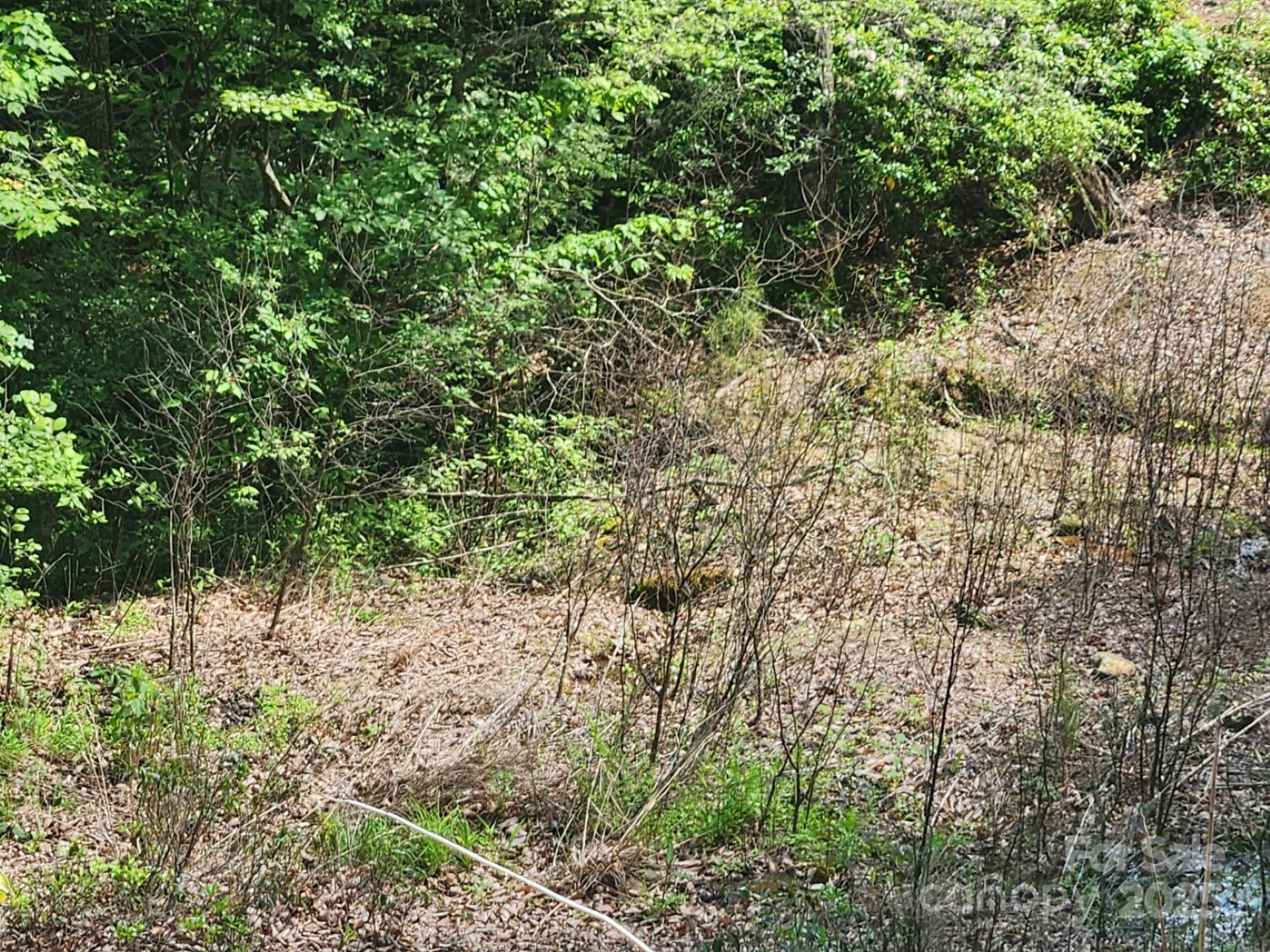 00 Hickory Nut Lane #390 - Photo 8