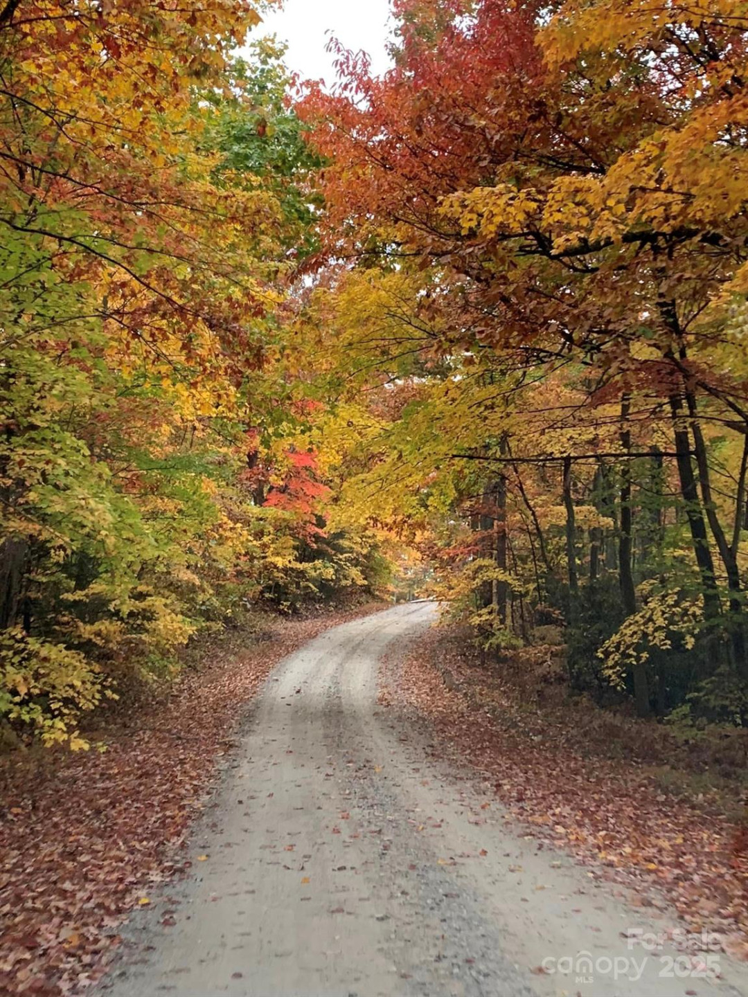 00 Hickory Nut Lane #390 - Photo 9