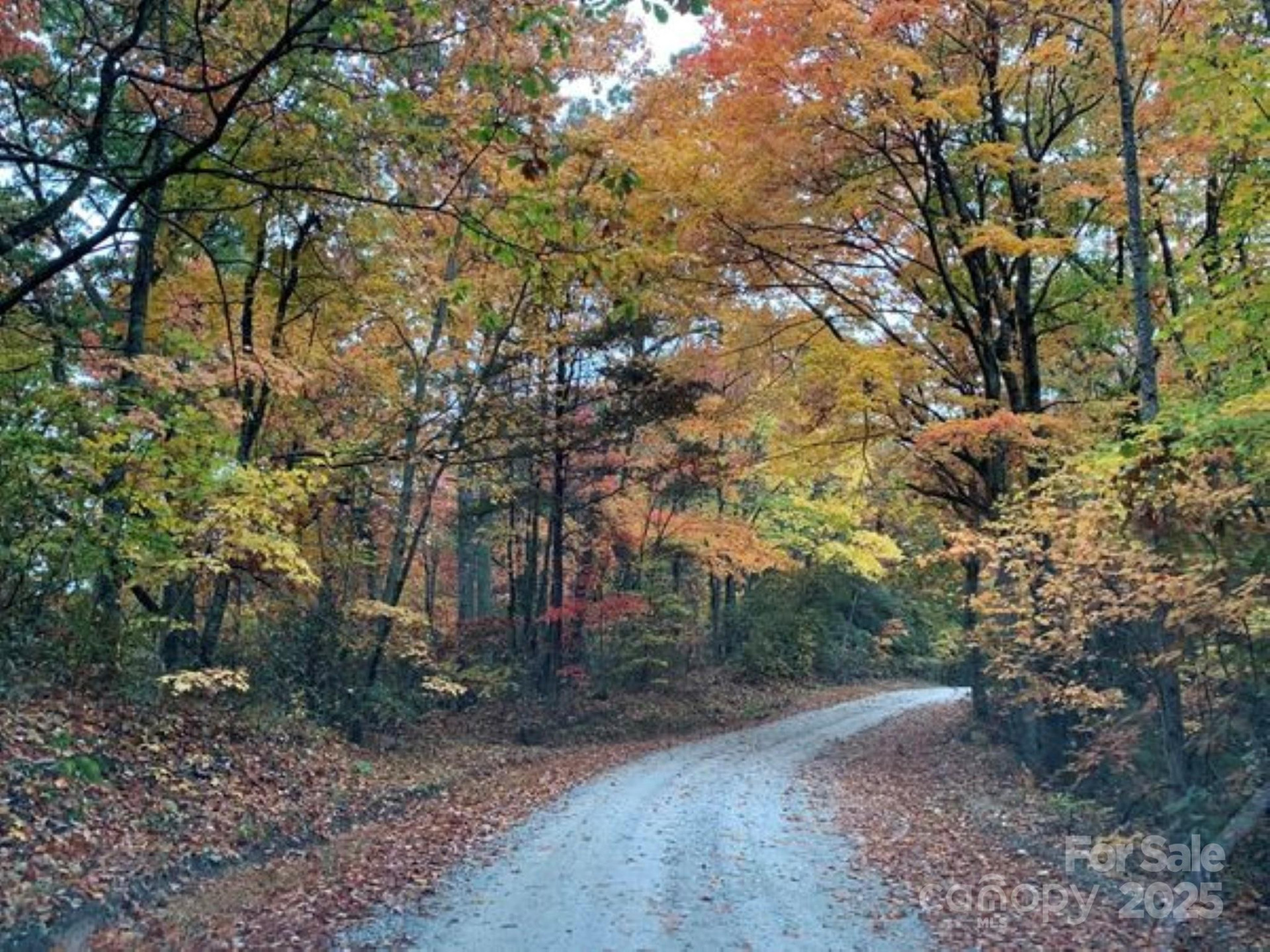 00 Hickory Nut Lane #390 - Photo 10