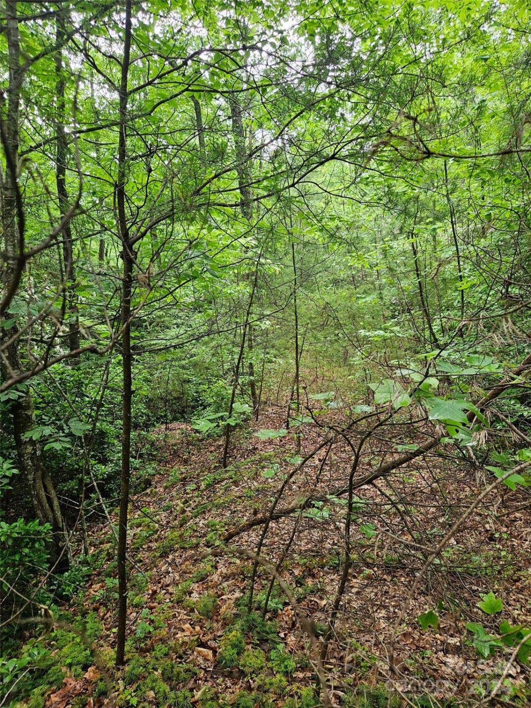 00 Brookside Parkway #24 - Photo 2